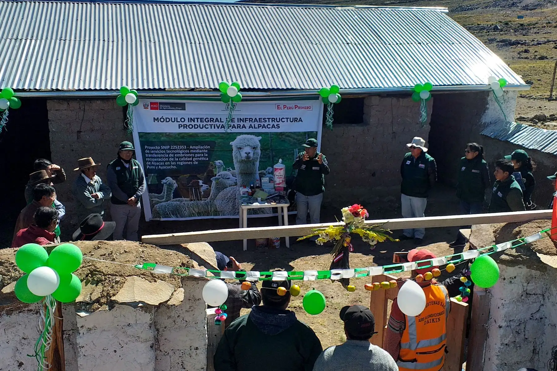INIA implementa módulos de producción alpaquera que beneficia a comunidades campesinas de Ayacucho. ANDINA/Difusión