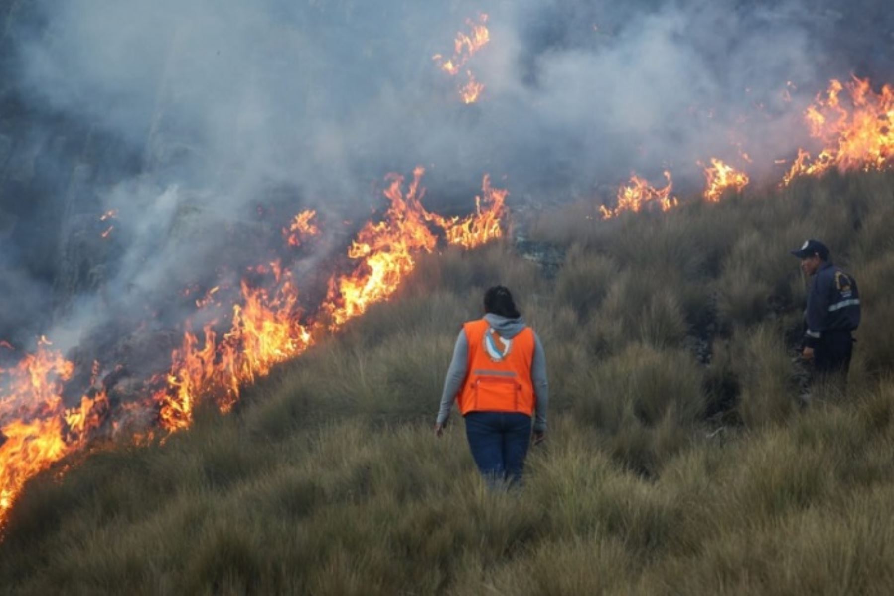 Un total de 142 incendios forestales se han registrado en todo el país entre el 27 de julio al 26 de agosto, pero todos han sido extinguidos a excepción del que se presenta en el distrito de Tamburco, provincia de Abancay, región Apurímac, informó el Instituto Nacional de Defensa Civil (Indeci).ANDINA/Difusión