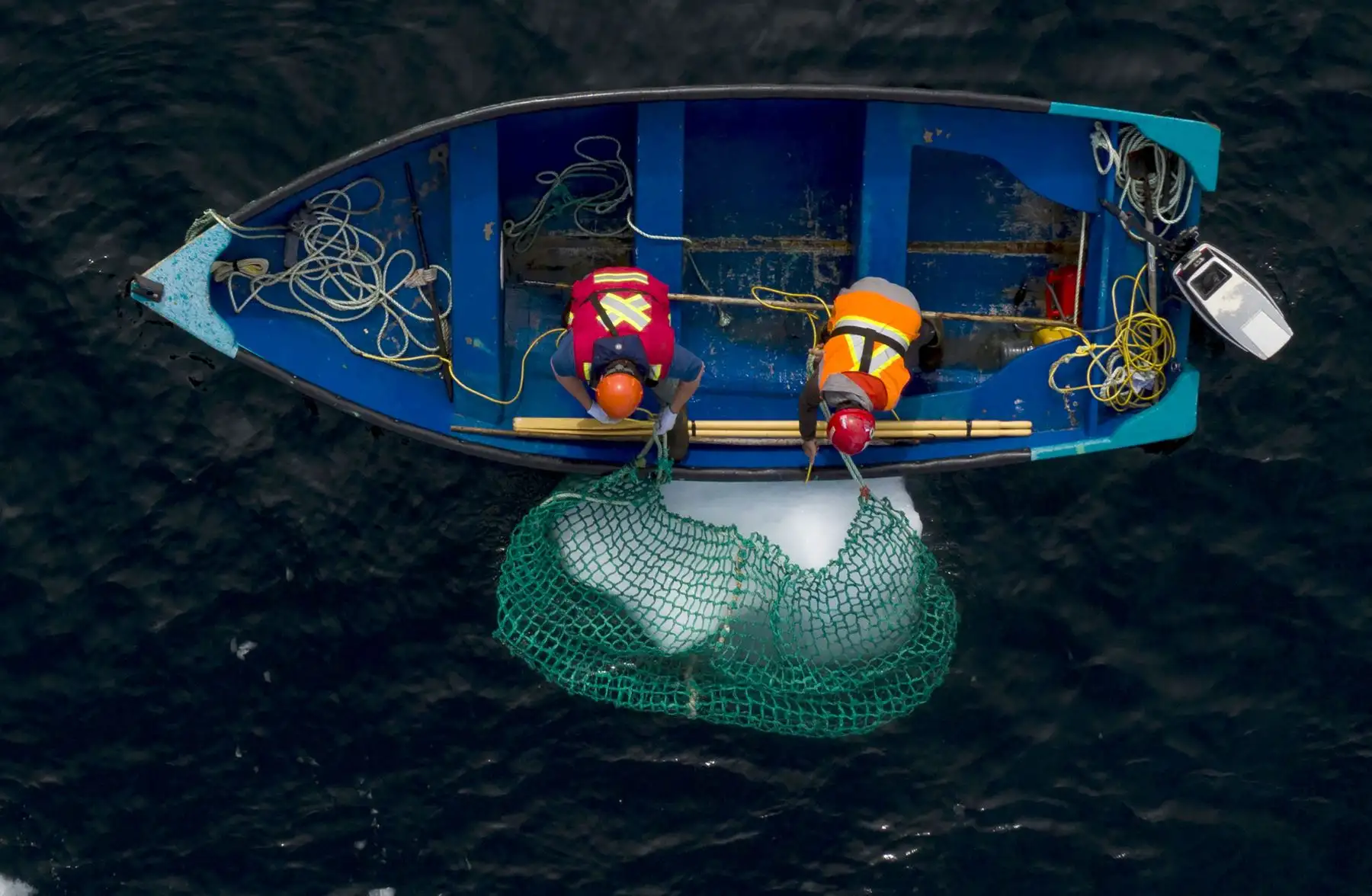 Blair Baker y Taylor Lindsorn atrapan un trozo de iceberg , en la Bahía de Bonavista en Terranova, Canadá. AFP