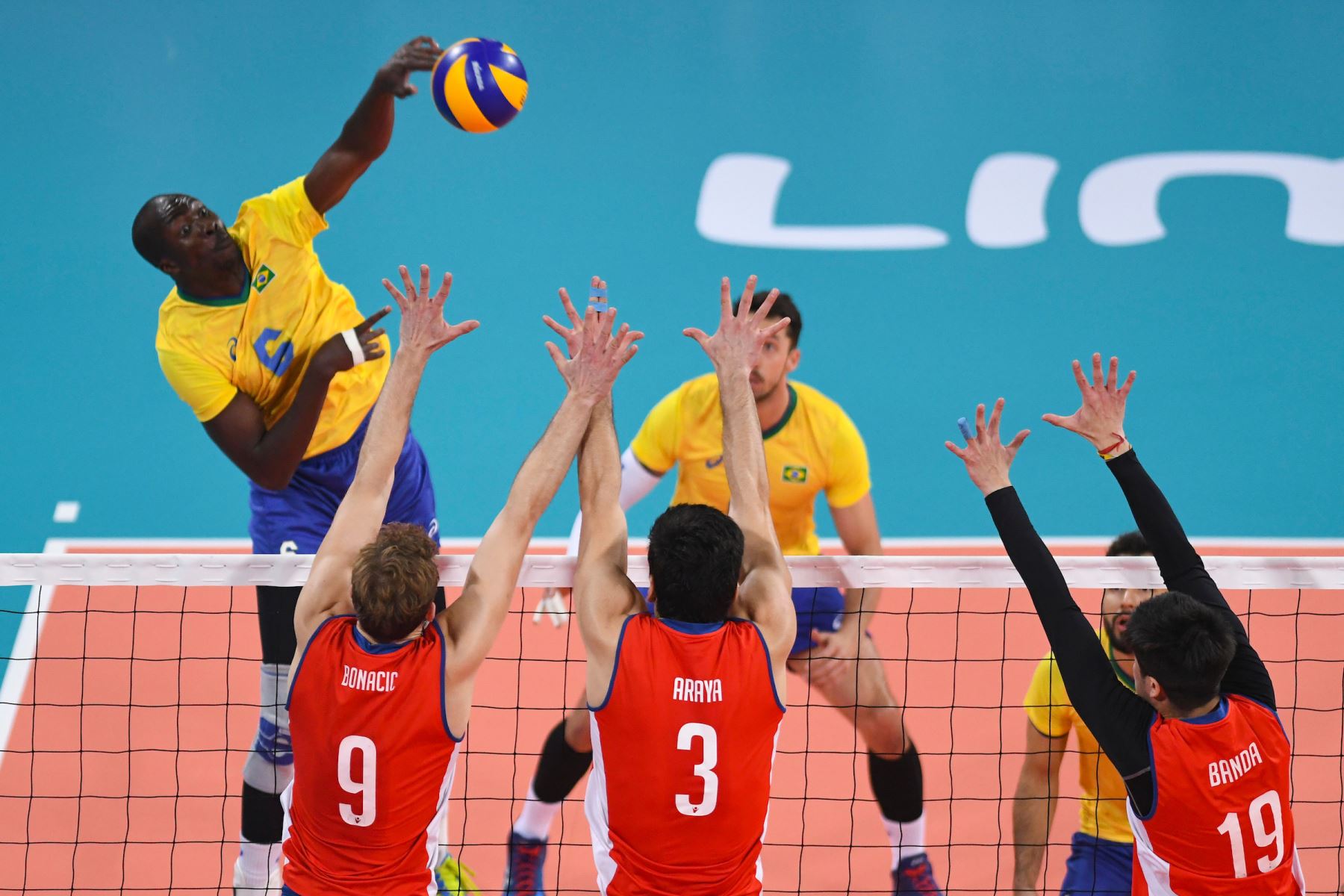 Three Pan Am men's volleyball powers and one newcomer make up Lima 2019 ...