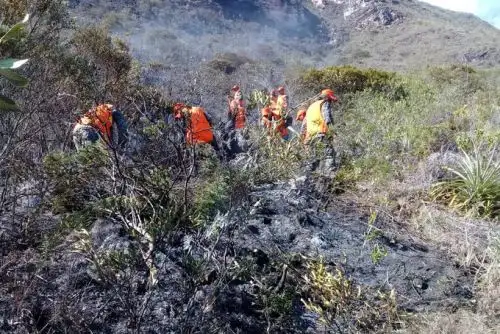El Indeci informó que al menos 30 hectáreas de cobertura natural han sido destruidas en el distrito de Tingo, provincia de Luya, región Amazonas.