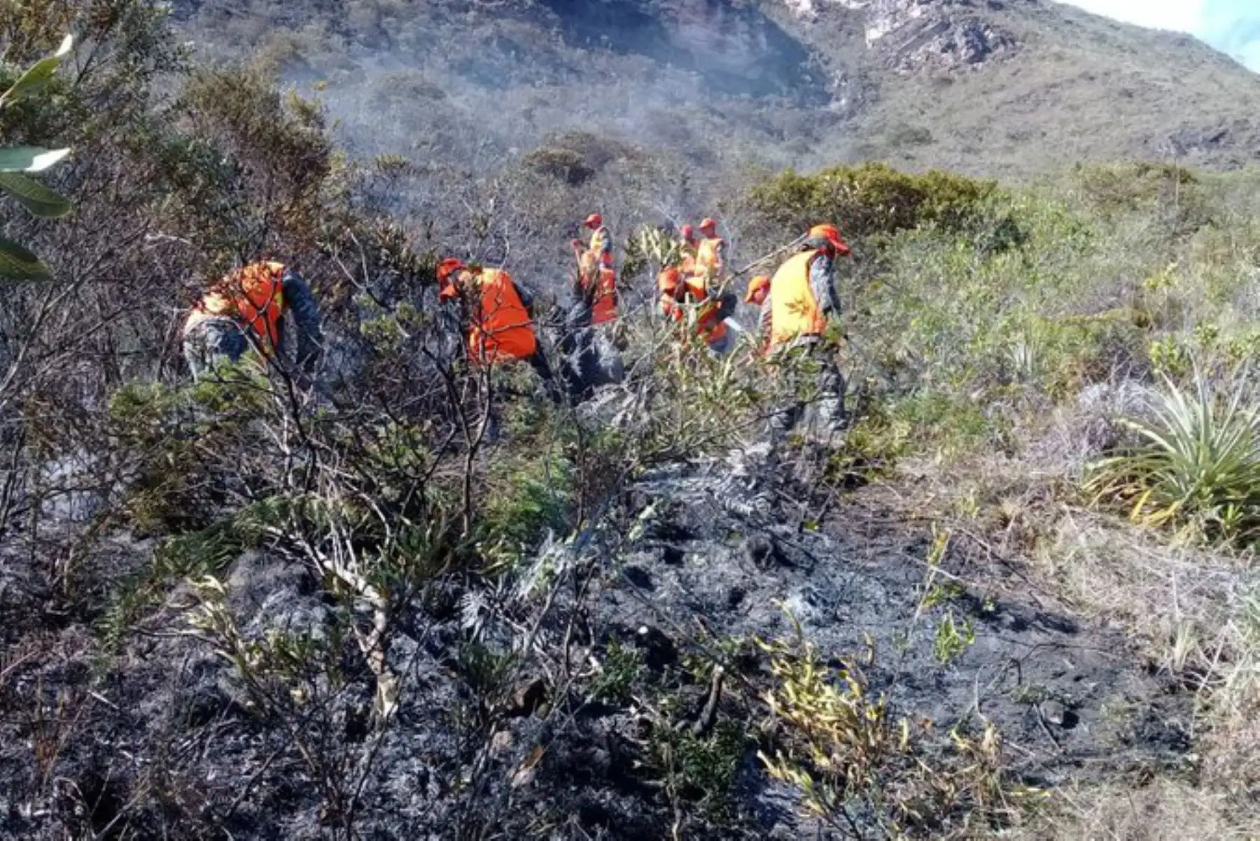 El Indeci informó que al menos 30 hectáreas de cobertura natural han sido destruidas en el distrito de Tingo, provincia de Luya, región Amazonas.