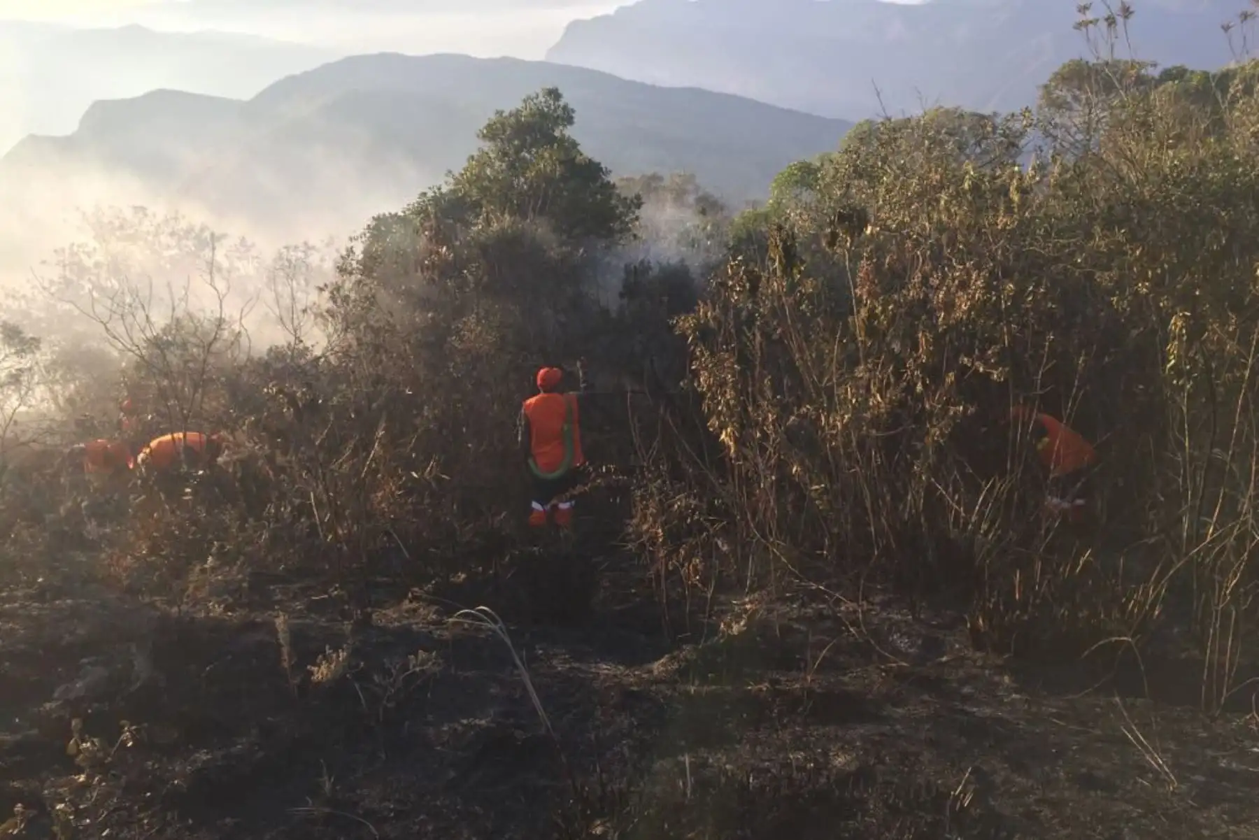 Personal del Ejército trabaja desde la madrugada en labores para combatir el incendio forestal  cerca a la zona arqueológica de Kuelap( Amazonas).
Foto: INDECI