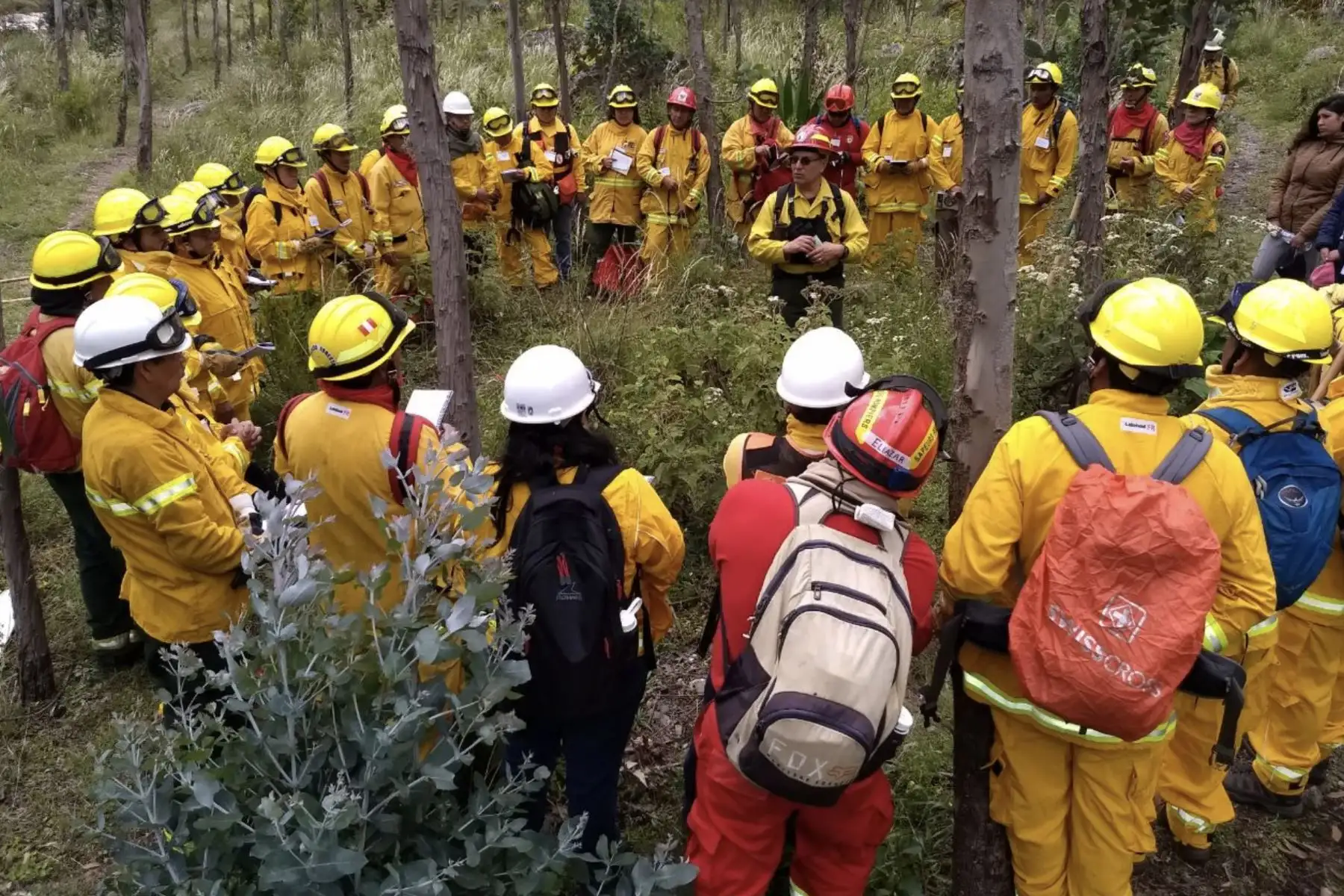 Guradaparques trabajan desde la madrugada en labores para combatir el incendio forestal  cerca a la zona arqueológica de Kuelap( Amazonas).
Foto: SERNAMP