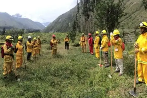 Guardaparques bomberos forestales de seis áreas naturales protegidas también trabajarán en el control y extinción del incendio forestal registrado cerca de la fortaleza de Kuélap.