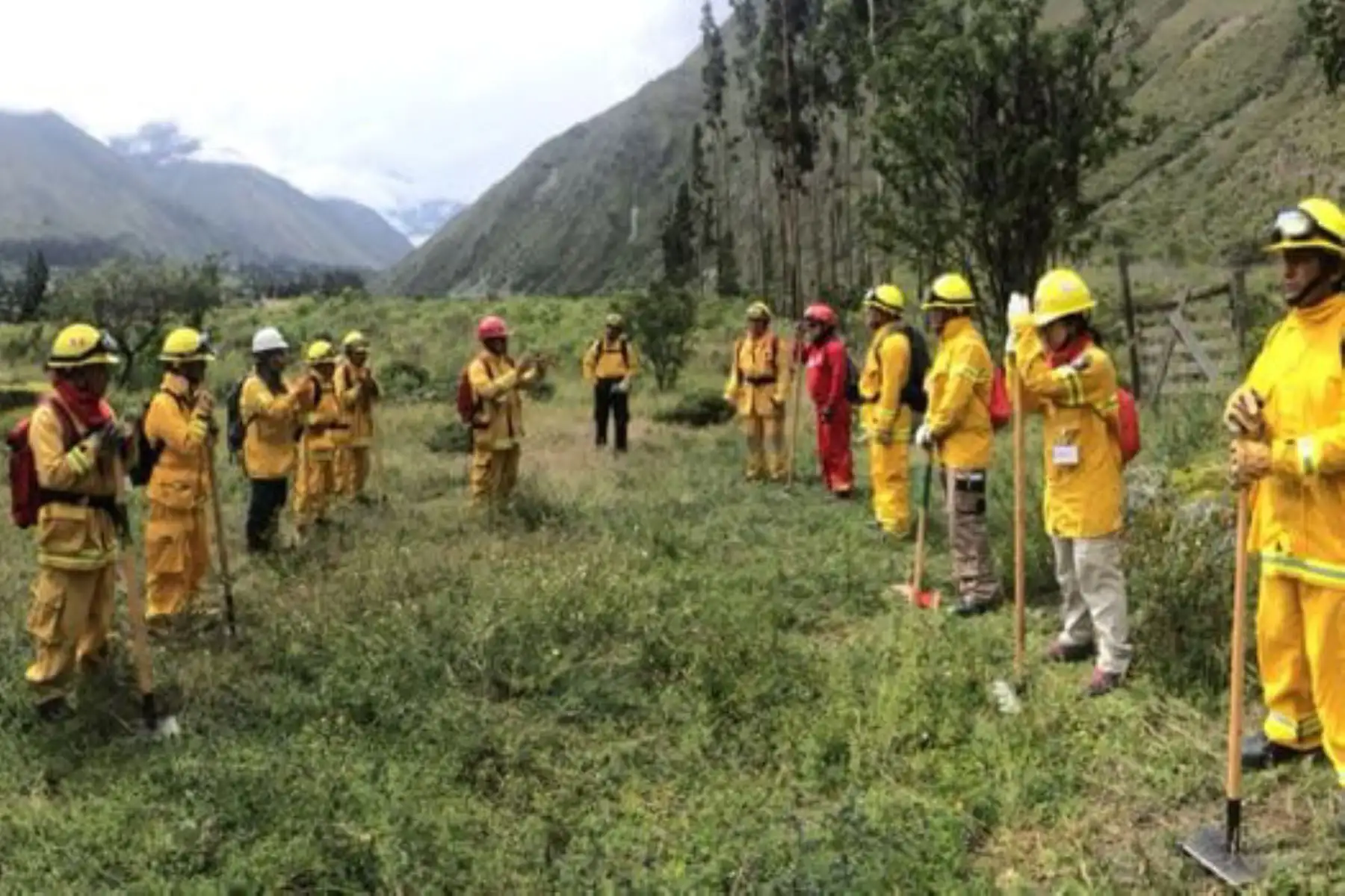 Guardaparques bomberos forestales de seis áreas naturales protegidas también trabajarán en el control y extinción del incendio forestal registrado cerca de la fortaleza de Kuélap.