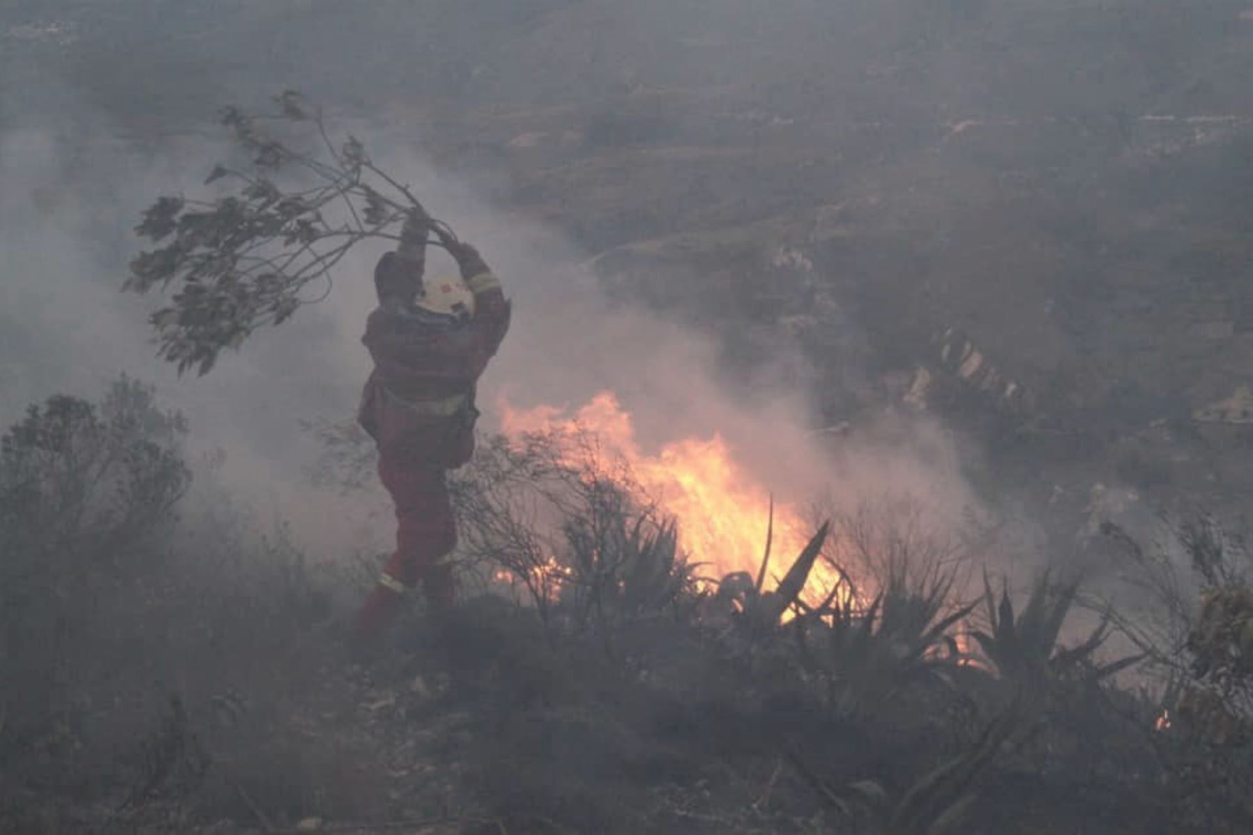 Cusco, Apurímac, Cajamarca y Áncash son las regiones que han reportado más incendios forestales desde 2017 hasta julio pasado. Foto: ANDINA/Difusión
