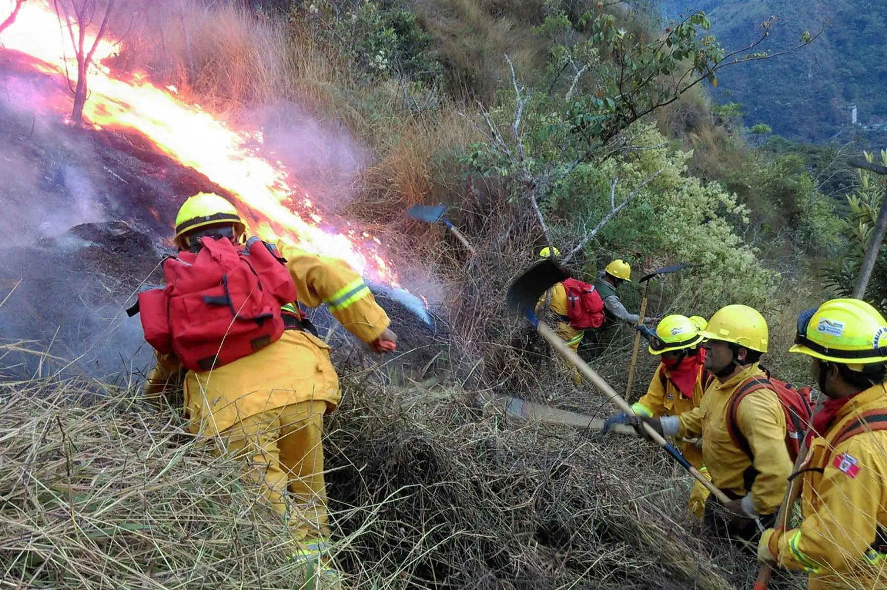 Apurímac: brigadistas combaten incendio forestal en distrito de Tamburco. ANDINA/Difusión