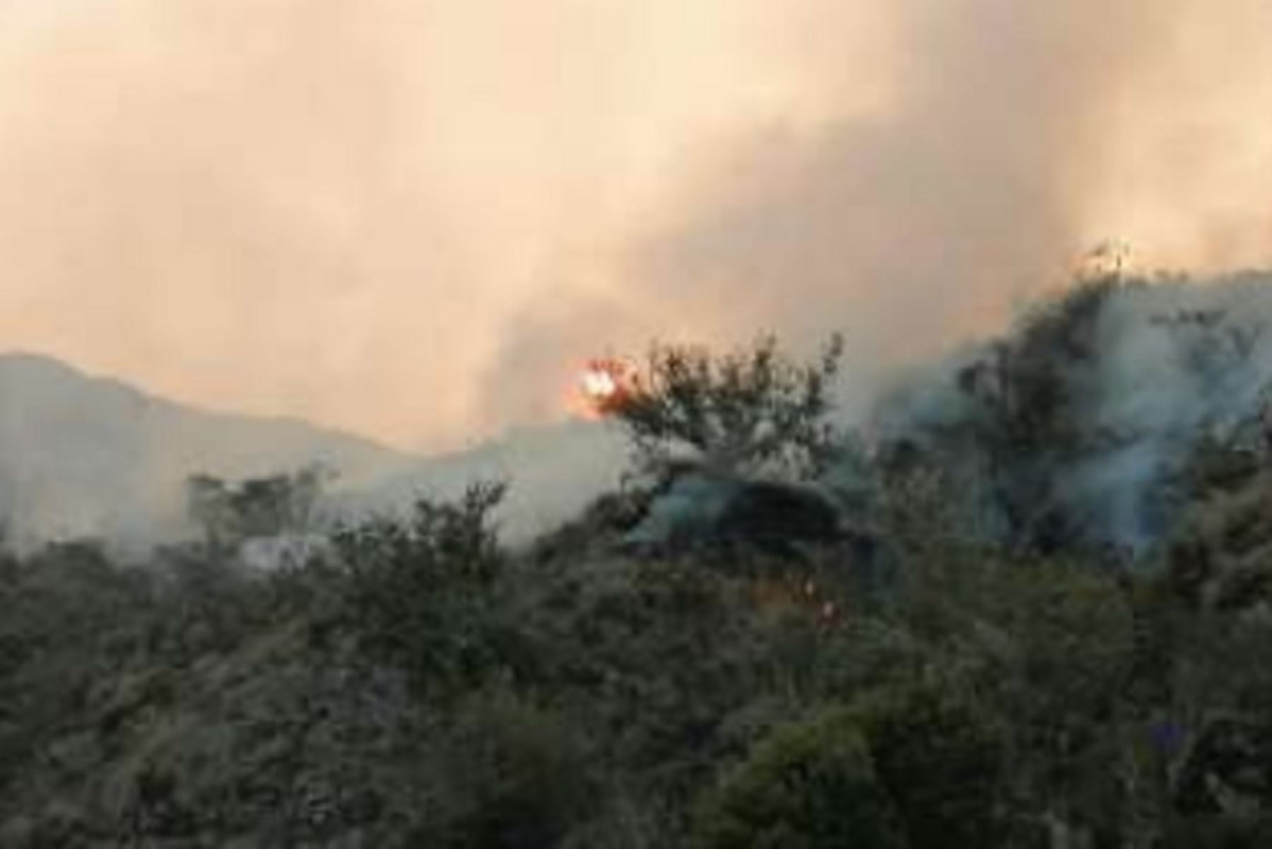 Personal del Cuerpo General de Bomberos Voluntarios del Perú, autoridades locales y pobladores trata de extinguir el incendio forestal que se registra en la región de Cusco y que ha destruido hasta el momento.25 hectáreas de cobertura natural en las comunidades de Sunchubamba, Jajahuana y Pastogrande.