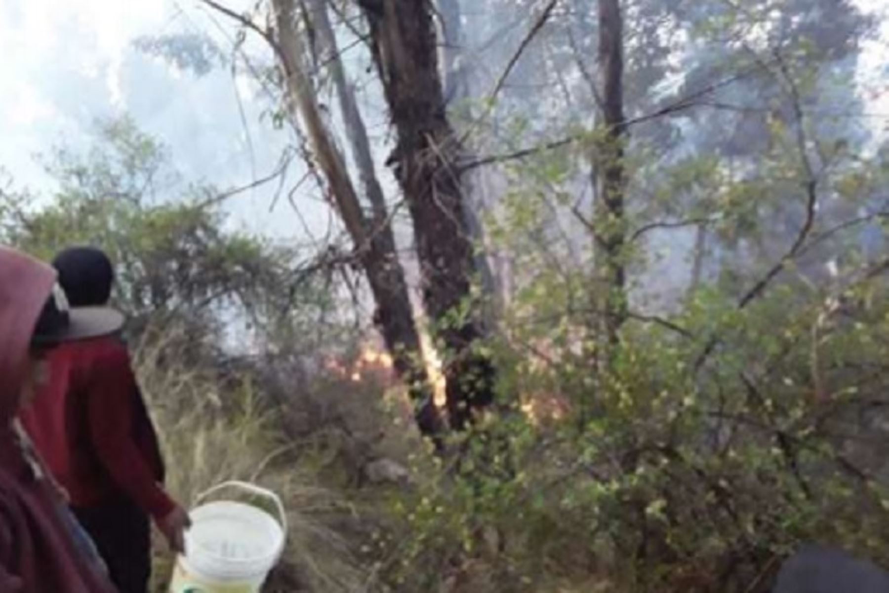 Los incendios forestales registrados en la víspera en las provincias de Acobamba y Huamanga, en las regiones de Huancavelica y Ayacucho, han dejado hasta dejado hasta el momento 27 hectáreas de cobertura natural destruida, informó el Instituto Nacional de Defensa Civil (Indeci).