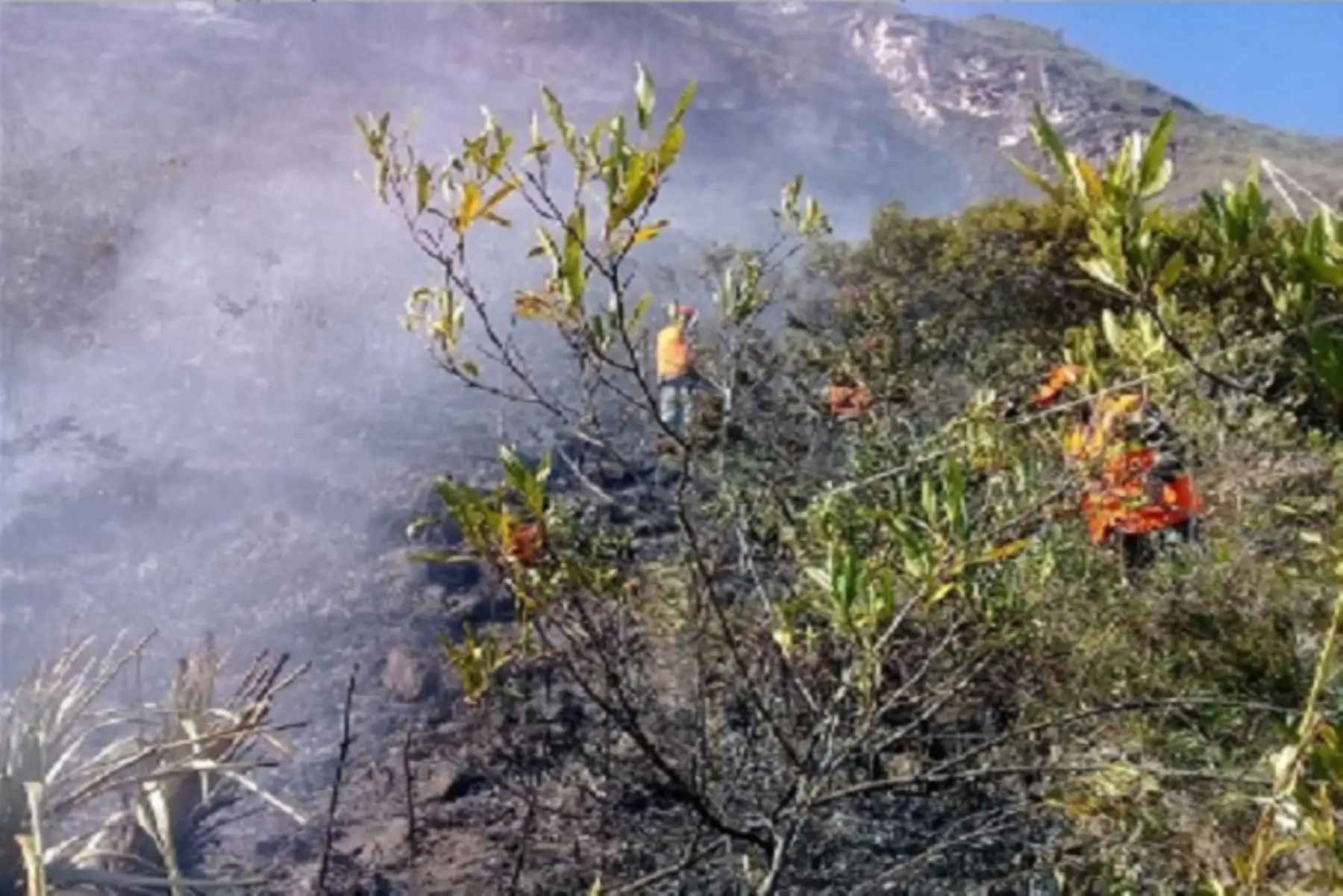 El jefe del Instituto Nacional de Defensa Civil, Jorge Chávez, sostuvo que no aún no puede descartarse ningún tipo de riesgo tanto en el teleférico como en la Fortaleza de Kuélap, debido al incendio forestal que se reavivó en el distrito de Tingo, provincia de Luya, región Amazonas, a consecuencia de los fuertes vientos.