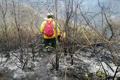 Actualmente en todo el territorio nacional no se registran incendios forestales que generen emergencias; sin embargo, durante el periodo comprendido entre el 27 de julio a la fecha, se han presentado 128 eventos de este tipo a escala nacional, la mayoría de estos provocados por la acción humana.ANDINA/Difusión