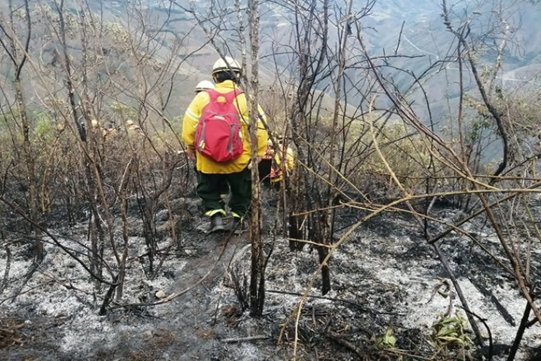 Actualmente en todo el territorio nacional no se registran incendios forestales que generen emergencias; sin embargo, durante el periodo comprendido entre el 27 de julio a la fecha, se han presentado 128 eventos de este tipo a escala nacional, la mayoría de estos provocados por la acción humana.ANDINA/Difusión
