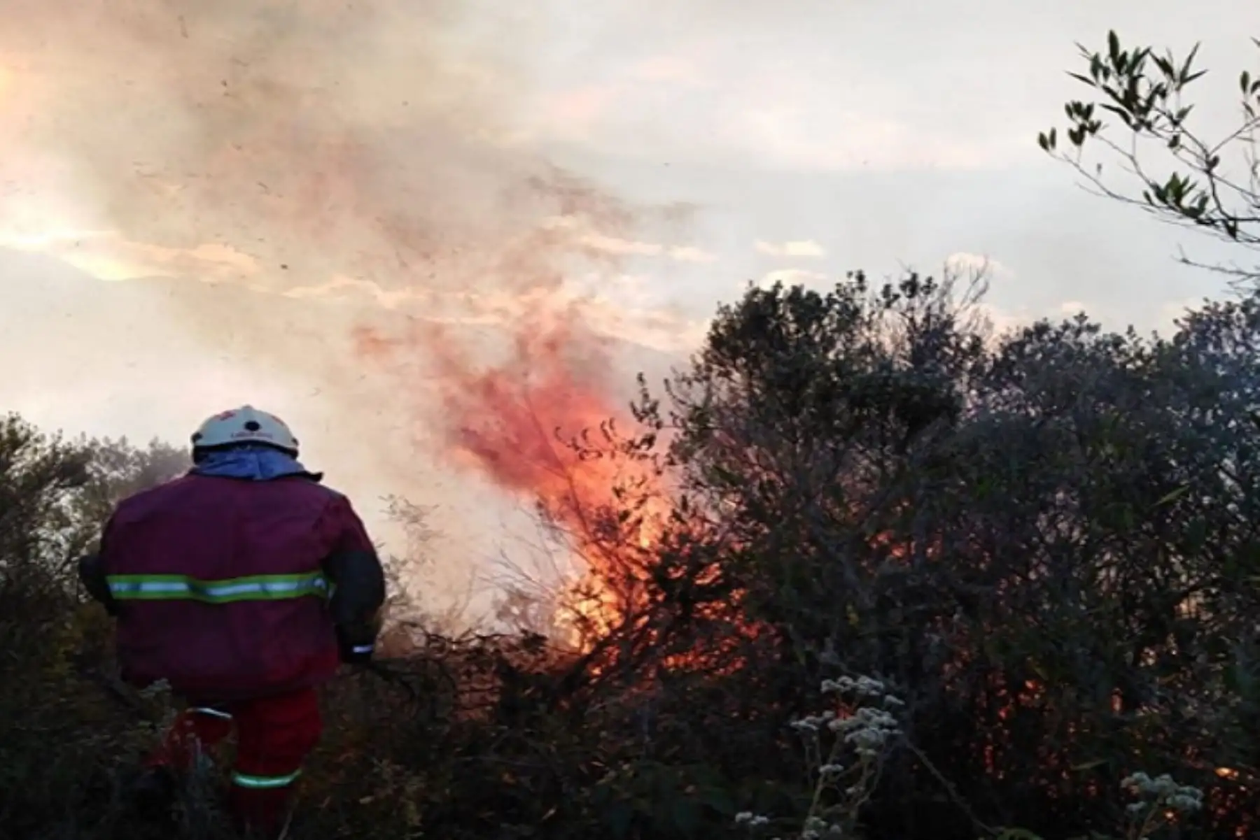 Cusco registró la mayor cantidad de incendios forestales con 24 eventos, según reporte del Indeci. Foto: ANDINA/Difusión