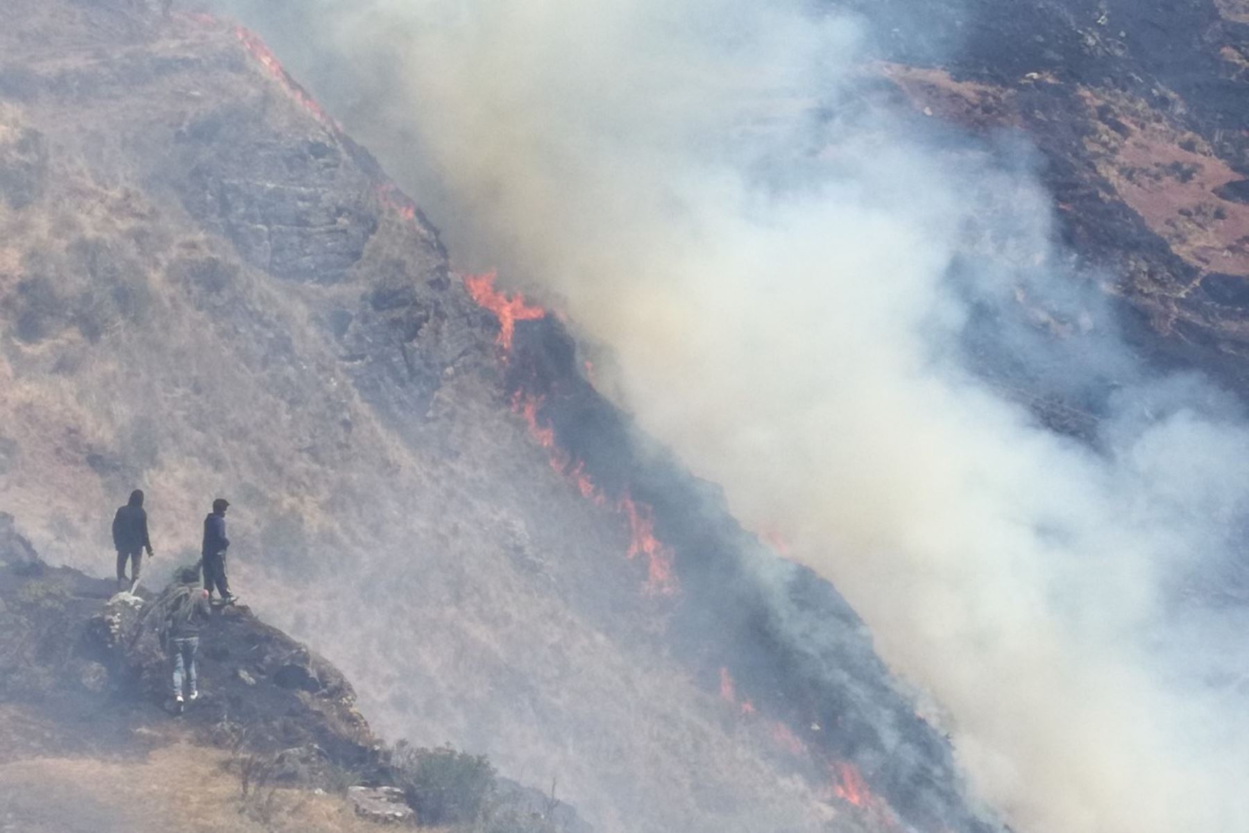 El alcalde de Chacayán, Over Vega Prado, informó que un incendio en el cerro Jogorón ha afectado áreas de cultivo.