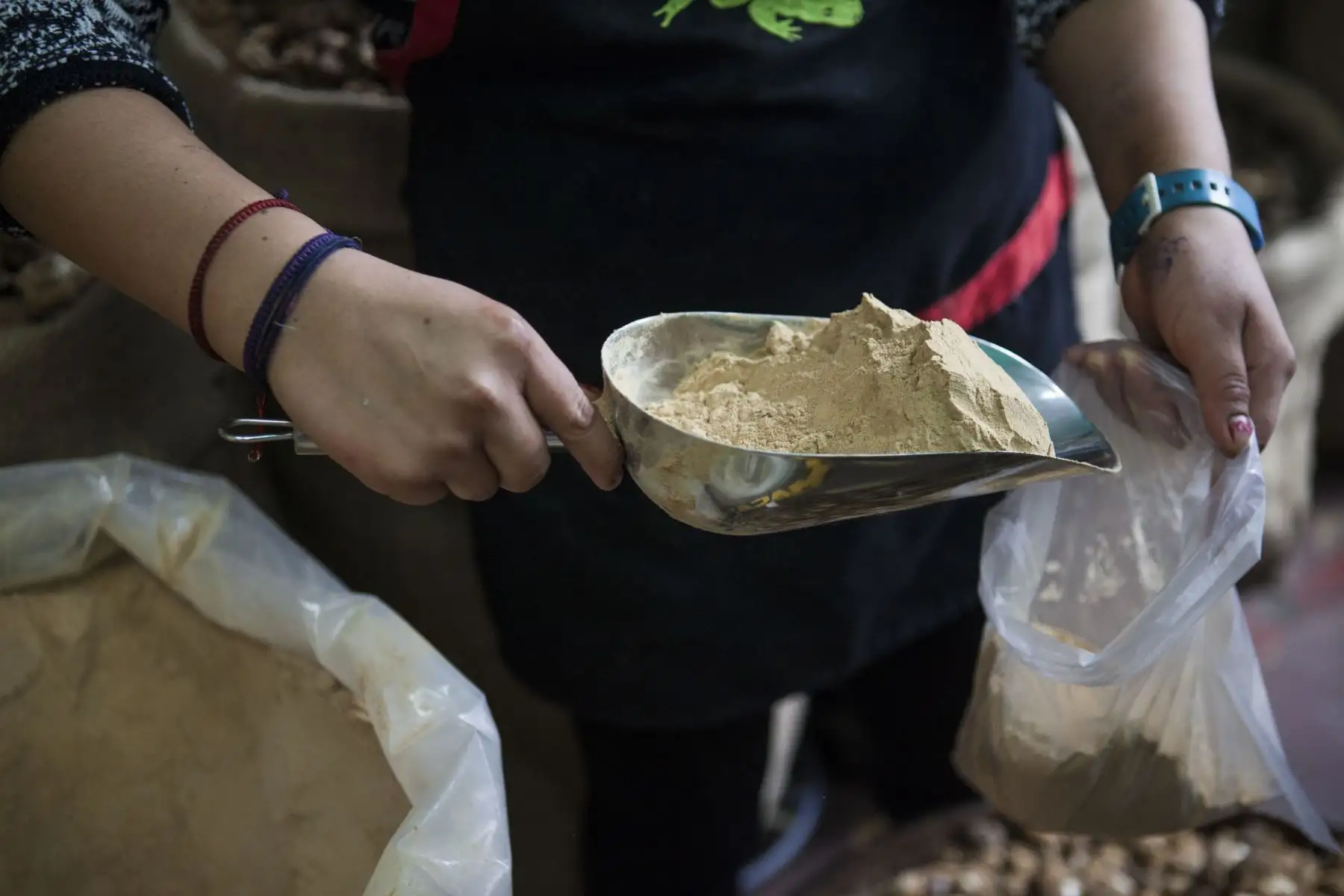 Algunos clientes prefieren prepararla en casa
y se llevan la maca en harina.
Amarilla, roja y negra. Los
clientes que lo desean se llevan en polvo para consumirla a su gusto. 
Foto: ANDINA/Miguel Mejía Castro