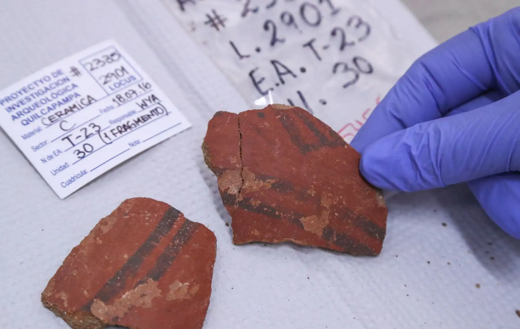 El Centro Nuclear desarrolla el sistema de espectroscopía láser para el análisis de material arqueológico y de obras de arte para conocer su origen. Foto: ANDINA/MINEM Oscar Farje