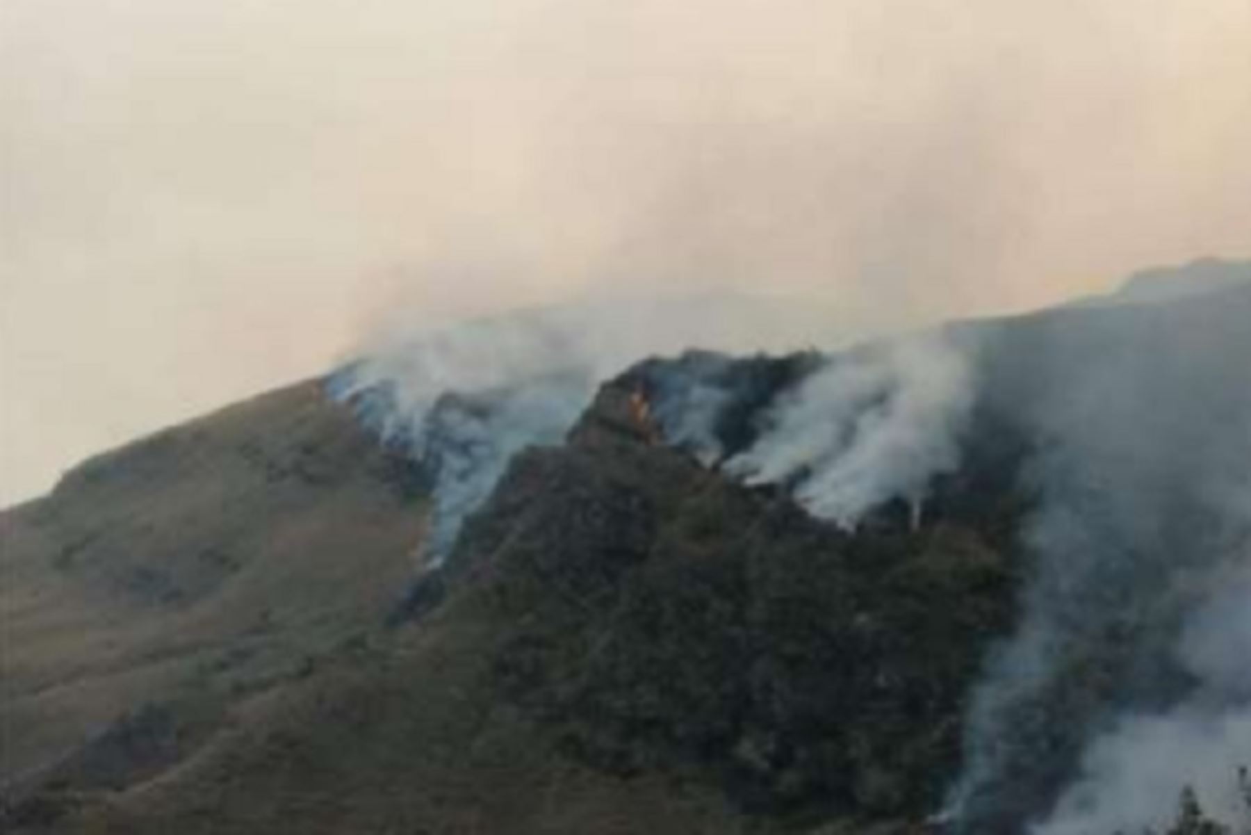 El incendio forestal que se registró en el distrito cusqueño de Challabamba, provincia de Paucartambo, destruyó 1,500 hectáreas de cobertura natural en las comunidades de Sunchubamba, Jajahuana y Pastogrande, según el informe preliminar del Instituto Nacional de Defensa Civil (Indeci).