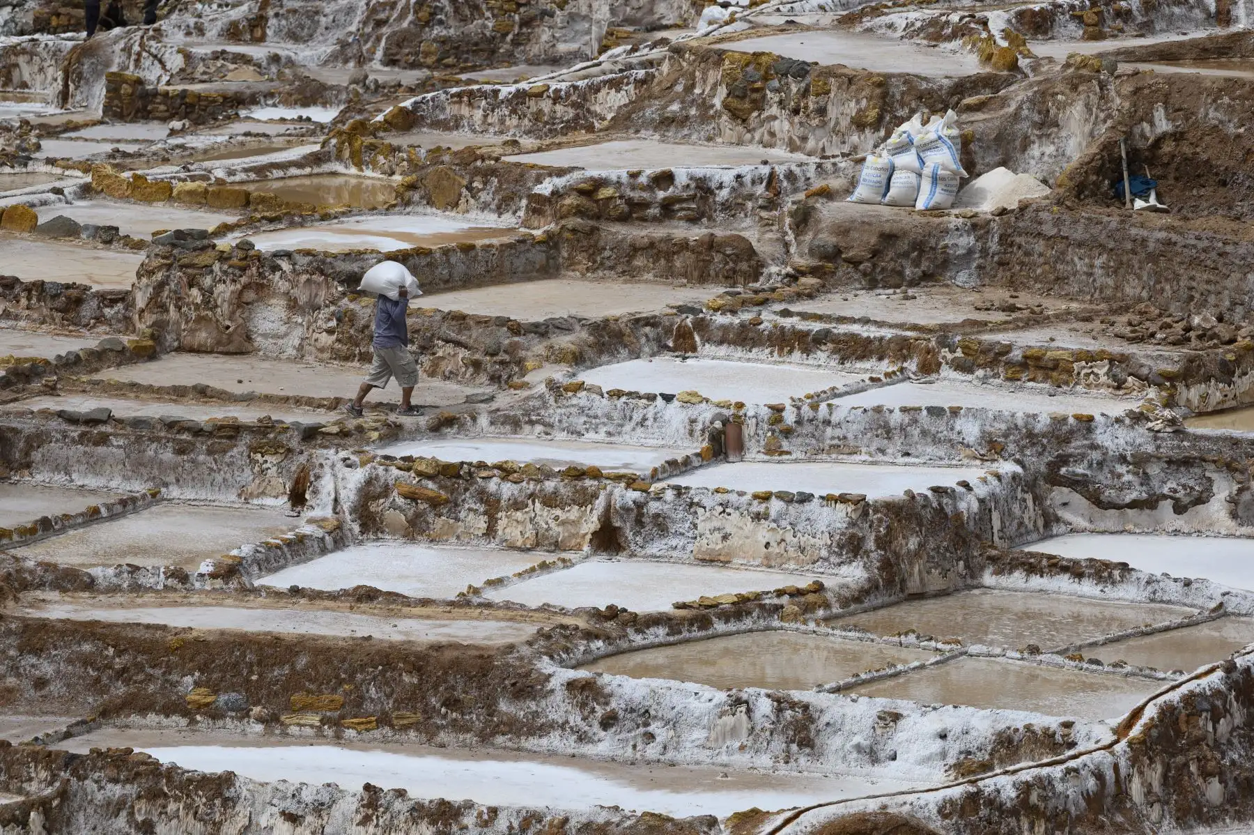 Cuando la sal alcanza unos 10 cm de altura desde el piso se retira y después se embolsa en costales de tela para ser enviada a los mercados de la región. Foto: AFP