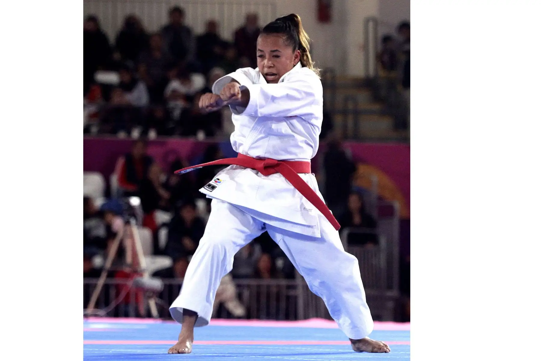 La karateca peruana Ingrid Aranda declaró tras conquistar el bronce en la modalidad kata en los Panamericanos.