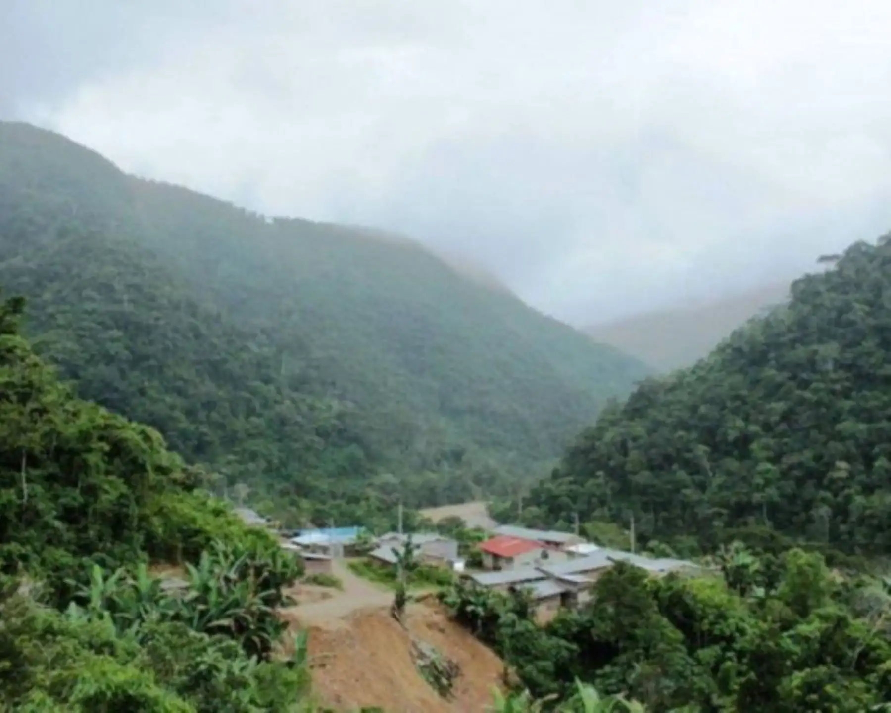 Se estiman temperaturas mínimas próximas a los 13 grados Celsius en la selva sur y cercanas a los 18 °C en la selva central. Foto: ANDINA/difusión.