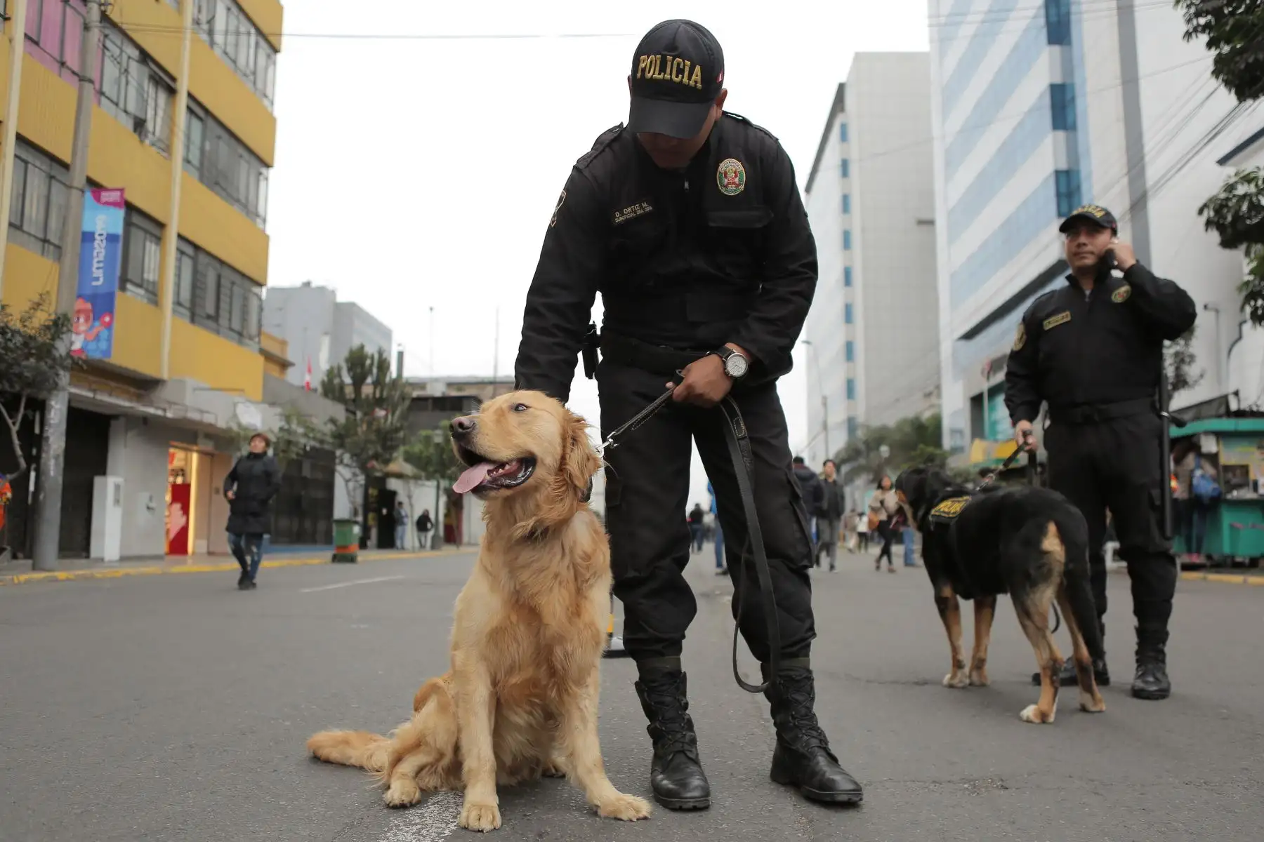 Imágenes previas a la clausura de los Juegos Panamericanos Lima 2019 en el estadio Nacional.
Foto: ANDINA/David Huamaní