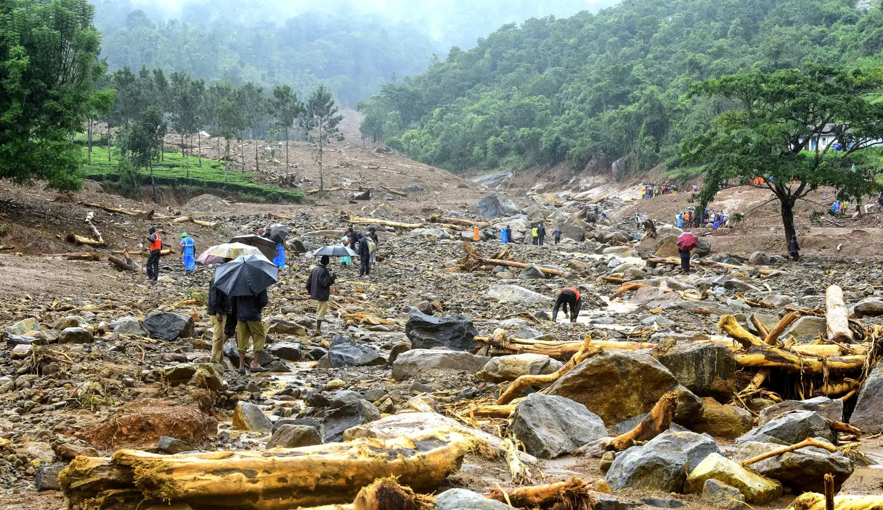 Voluntarios, residentes locales y miembros de la Fuerza Nacional de Respuesta a Desastres buscan sobrevivientes en los escombros que dejó un deslizamiento de tierra en Puthumala India.  Foto: AFP