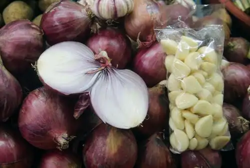 Cebolla es un tesoro medicinal y más aún con el ajo. Foto: ANDINA/Norman Córdova