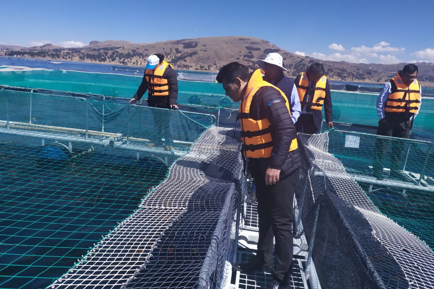 Nuevo laboratorio de Sanipes impulsará industria acuícola sostenible y ecoamigable en el lago Titicaca, en Puno.