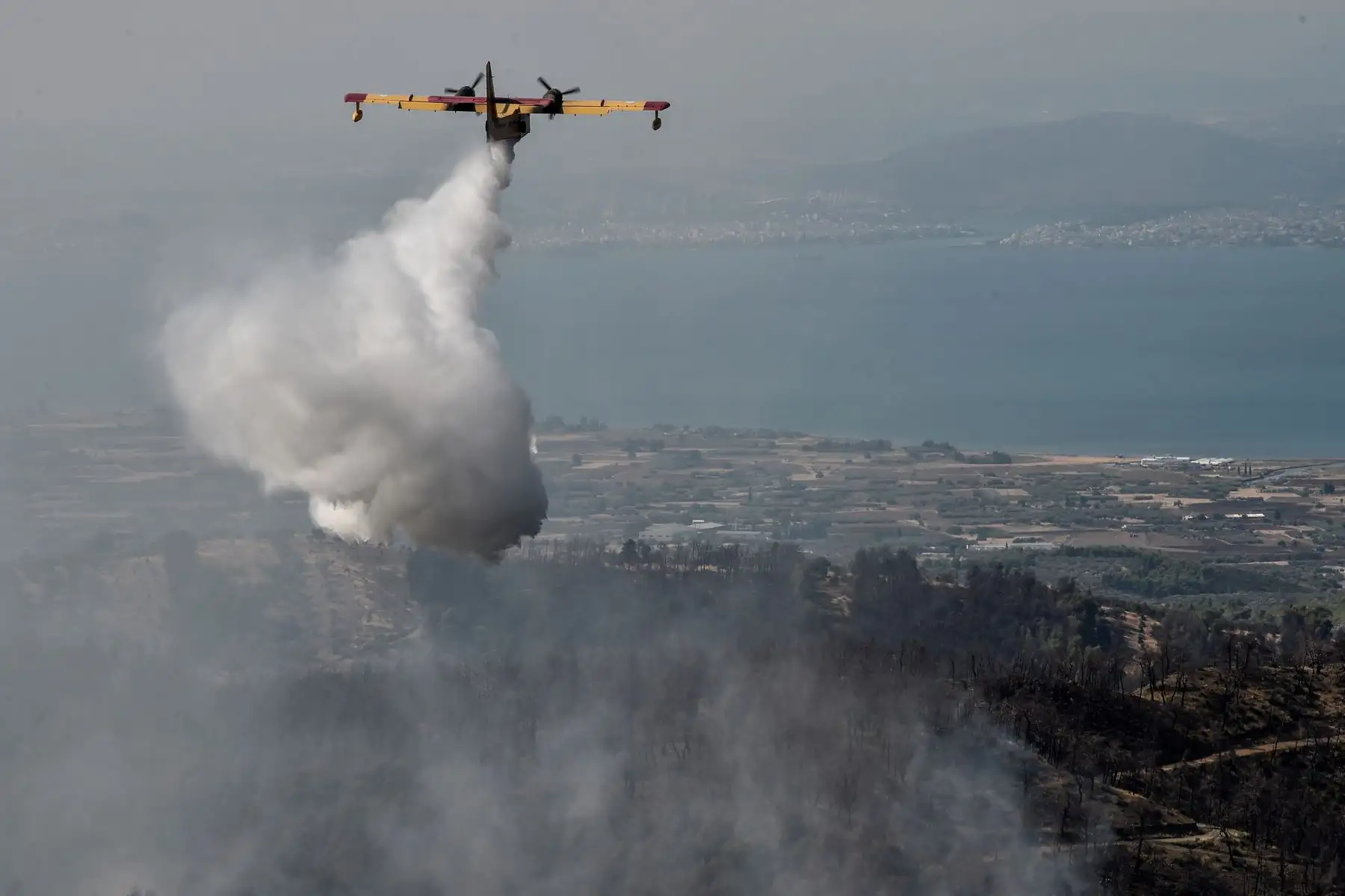 Un avión arroja agua sobre un incendio forestal cerca del pueblo de Stavros, en la isla griega de Evia. Foto: AFP