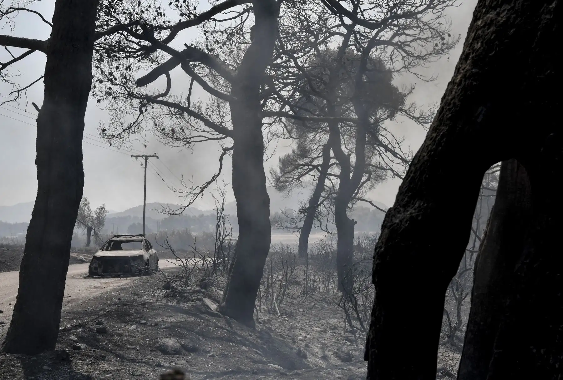 Cientos de bomberos luchan contra los incendios forestales en Grecia, atravesando una boscosa reserva natural en la isla de Evia, al norte de Atenas. Foto: AFP