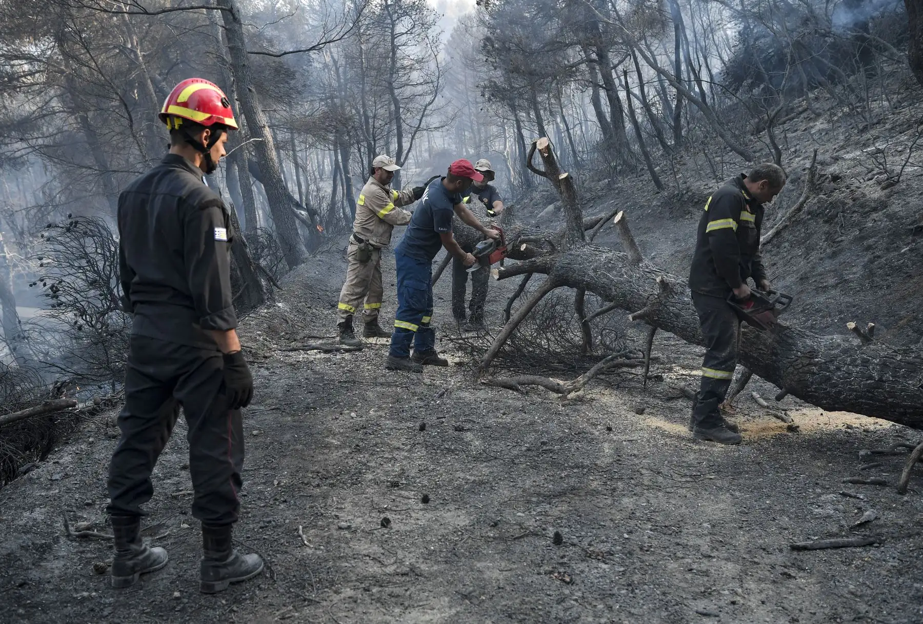 Cientos de bomberos luchan contra los incendios forestales en Grecia, atravesando una boscosa reserva natural en la isla de Evia, al norte de Atenas. Foto: AFP