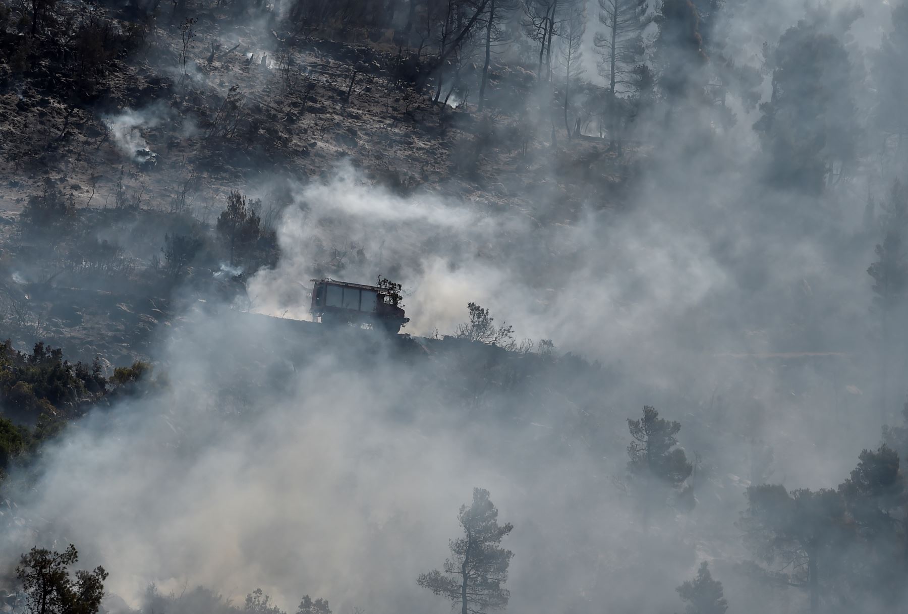 Cientos de bomberos luchan contra los incendios forestales en Grecia, atravesando una boscosa reserva natural en la isla de Evia, al norte de Atenas. Foto: AFP