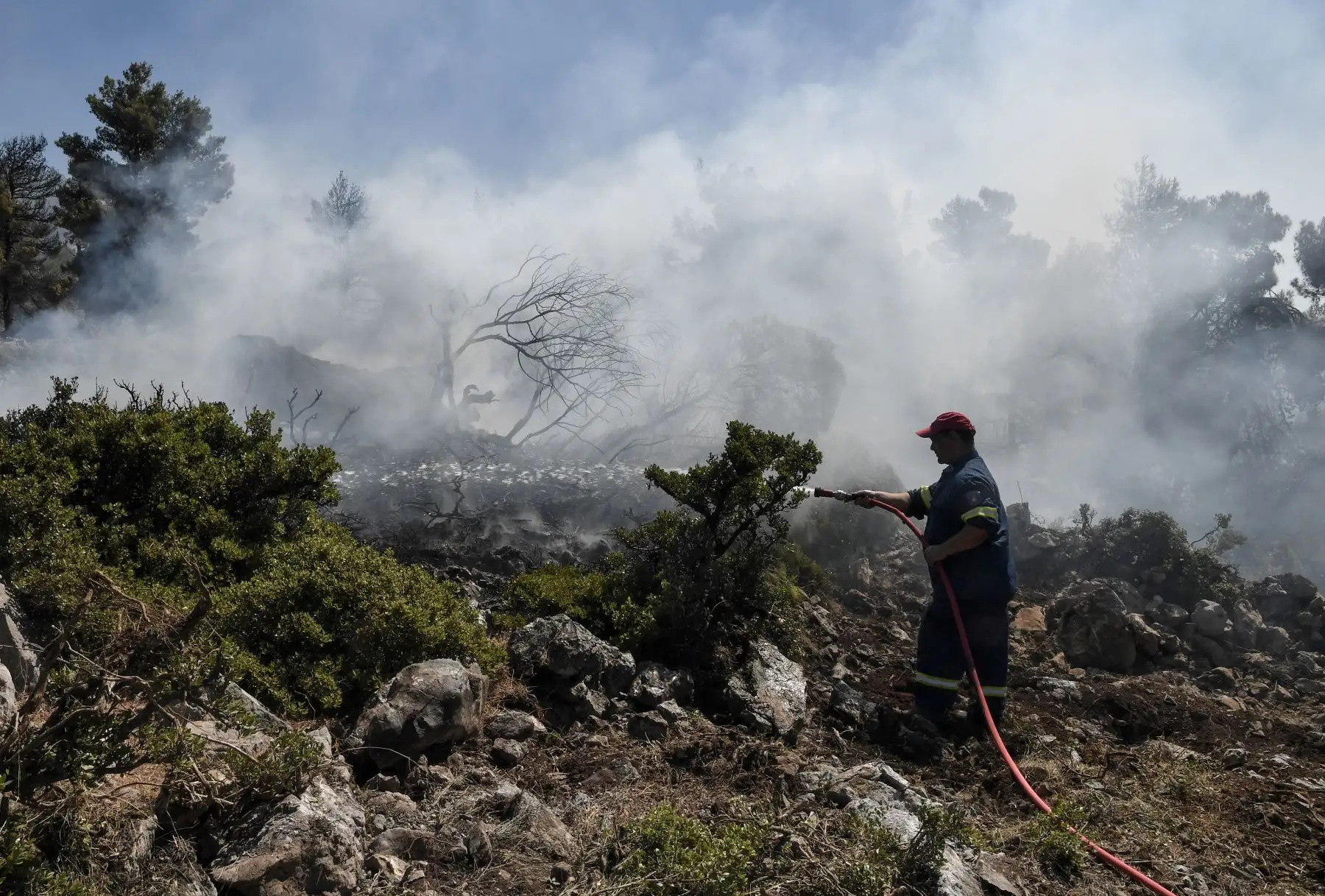 Cientos de bomberos luchan contra los incendios forestales en Grecia, atravesando una boscosa reserva natural en la isla de Evia, al norte de Atenas. Foto: AFP