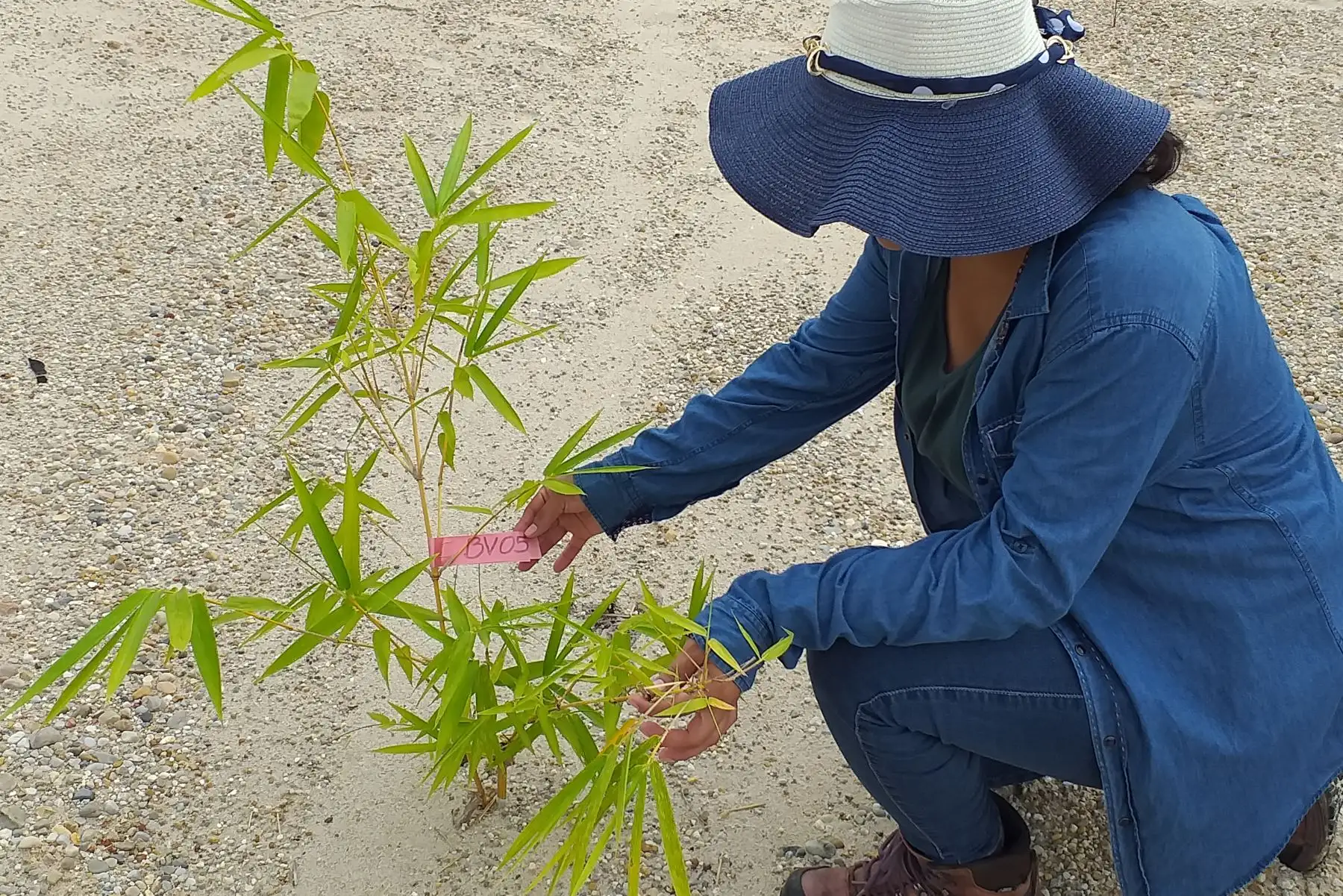 Serfor presentará proyectos para desarrollar productos y servicios del bosque en la feria Expoamazónica 2019 que se desarrollará en Iquitos, Loreto.