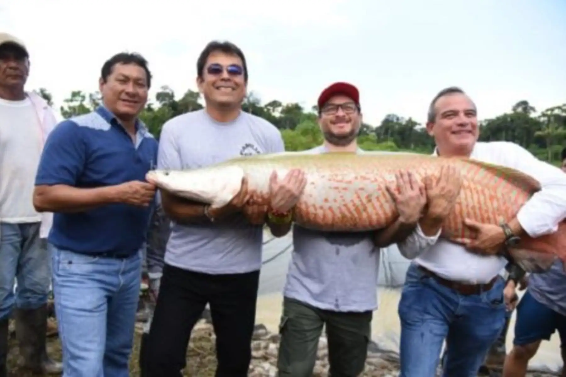 La ruta del paiche se promocionará a los empresarios y compradores internacionales que participarán en la novena edición de la Expoamazónica 2019, a inaugurarse mañana en la ciudad de Iquitos, región Loreto, y se prolongará hasta el 18 de agosto.