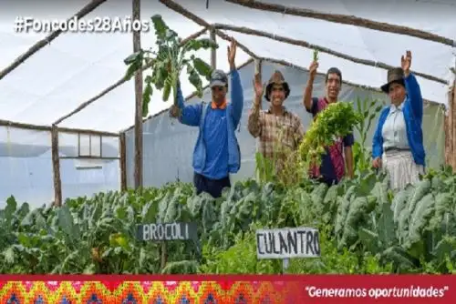 Desde su creación, hace 28 años, el Fondo de Cooperación para el Desarrollo Social (Foncodes) ha ejecutado 59,177 proyectos de infraestructura social y productiva. Ello bajo el modelo del “núcleo ejecutor”, en beneficio directo e indirecto de más de un millón de peruanos de hogares rurales en situación de pobreza y pobreza extrema.