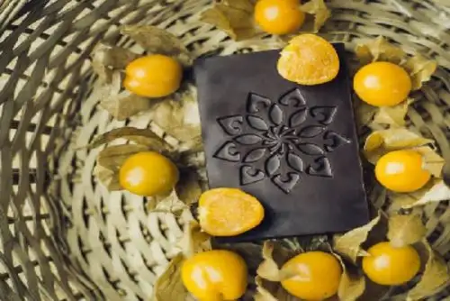 La marca Korin chocolate, que se elabora únicamente con cacao del distrito de Buenos Aires, en la provincia de Morropón, región Piura, ganó cuatro medallas de oro y tres medallas de plata en el concurso internacional Singapur Chocolate Awards.