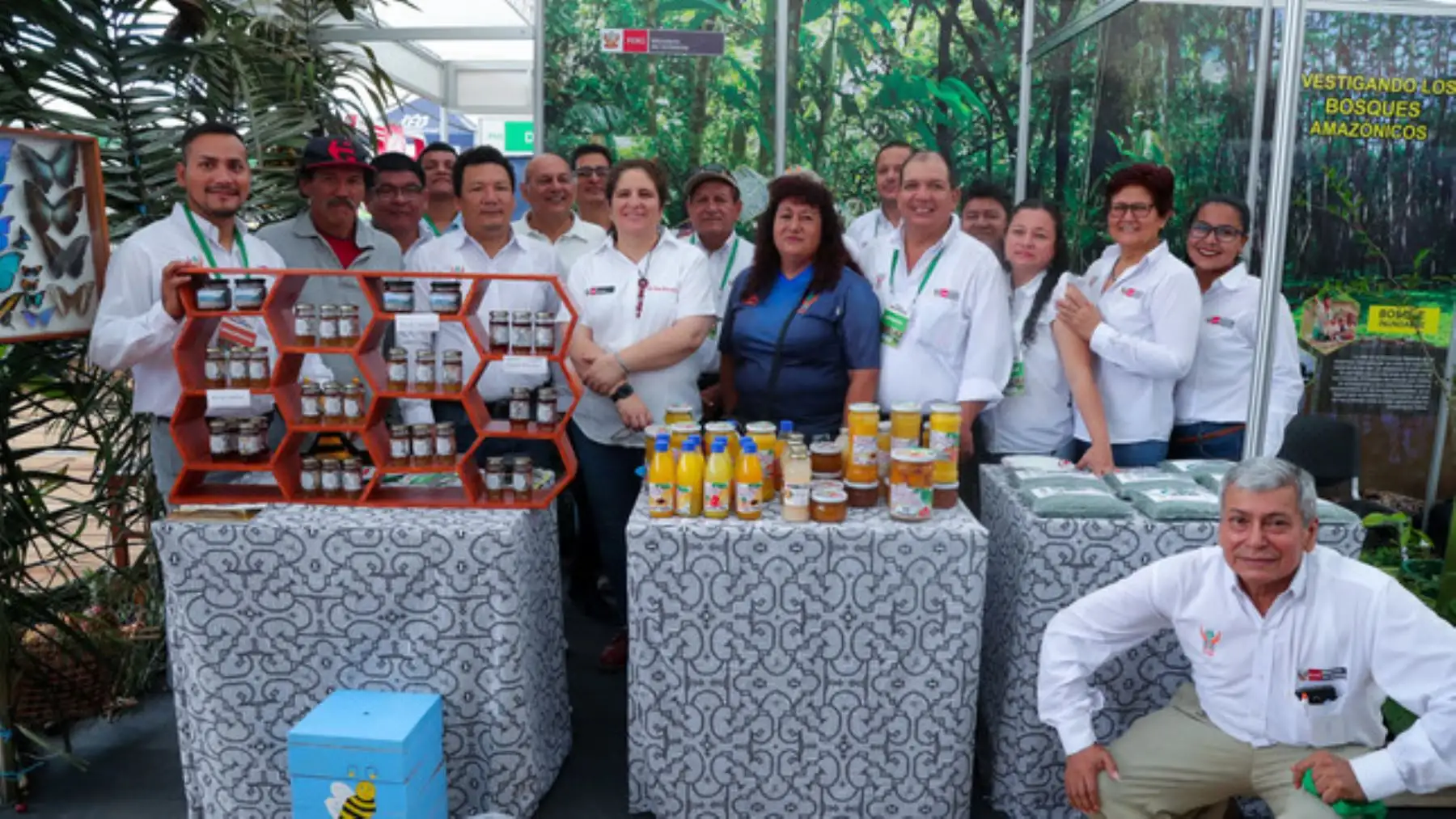 Los bosques son unos de los reguladores del clima, por lo tanto, hay que evitar la deforestación, sostuvo la ministra del Ambiente, Lucía Ruíz, en foro de Expoamazónica 2019 que se realiza en Loreto.