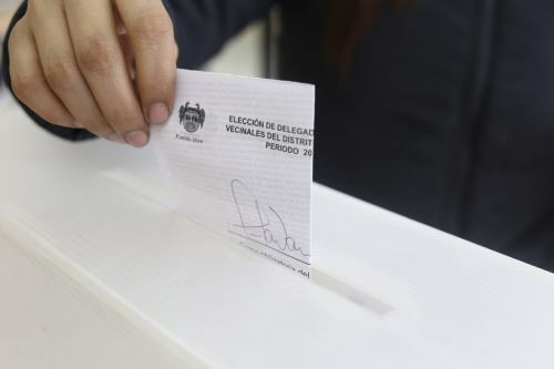 Elecciones. Foto: ANDINA/Difusión