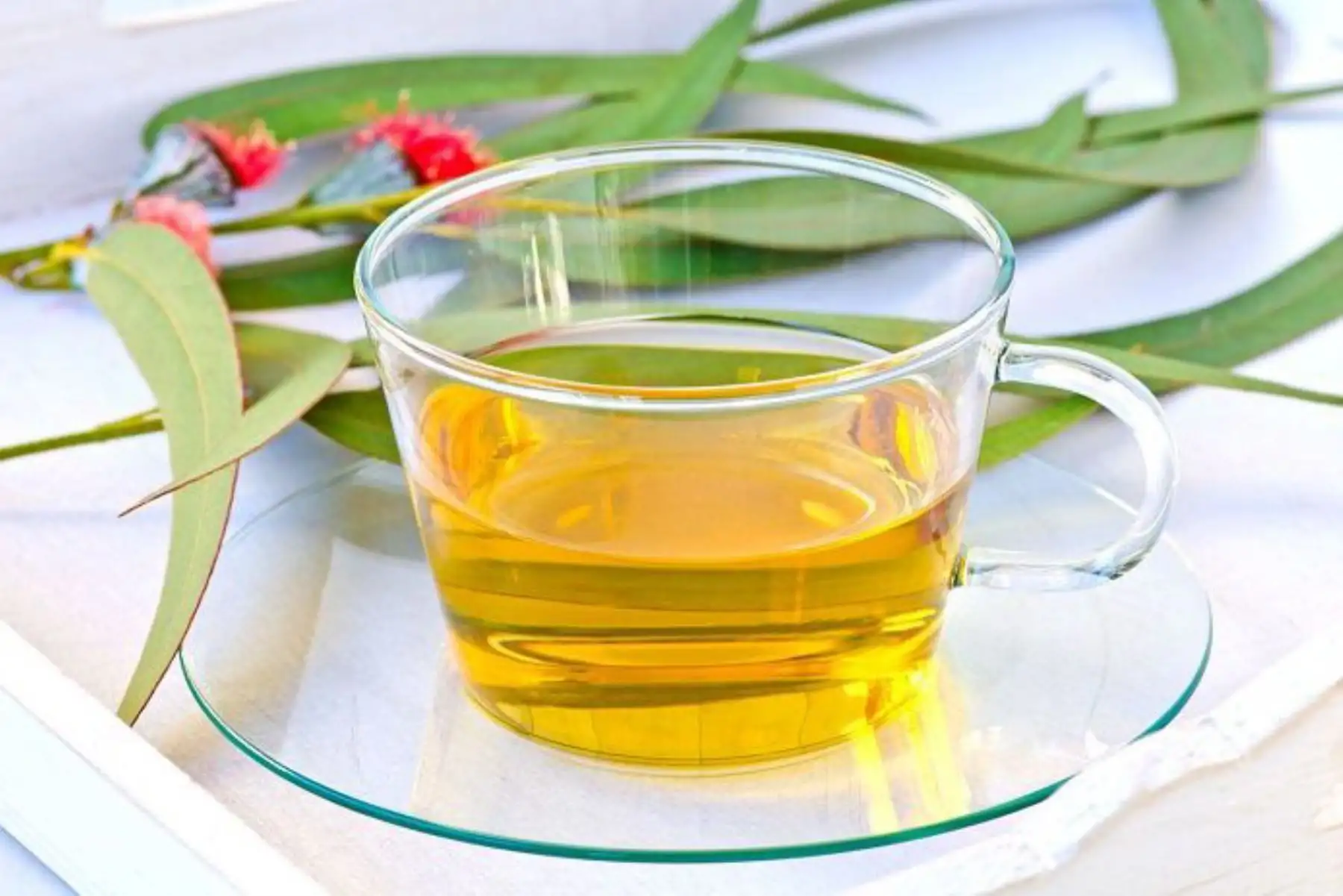Infusiones de hierbas que ayudan a aumentar el calor del cuerpo en temporada de invierno. Foto: Andina