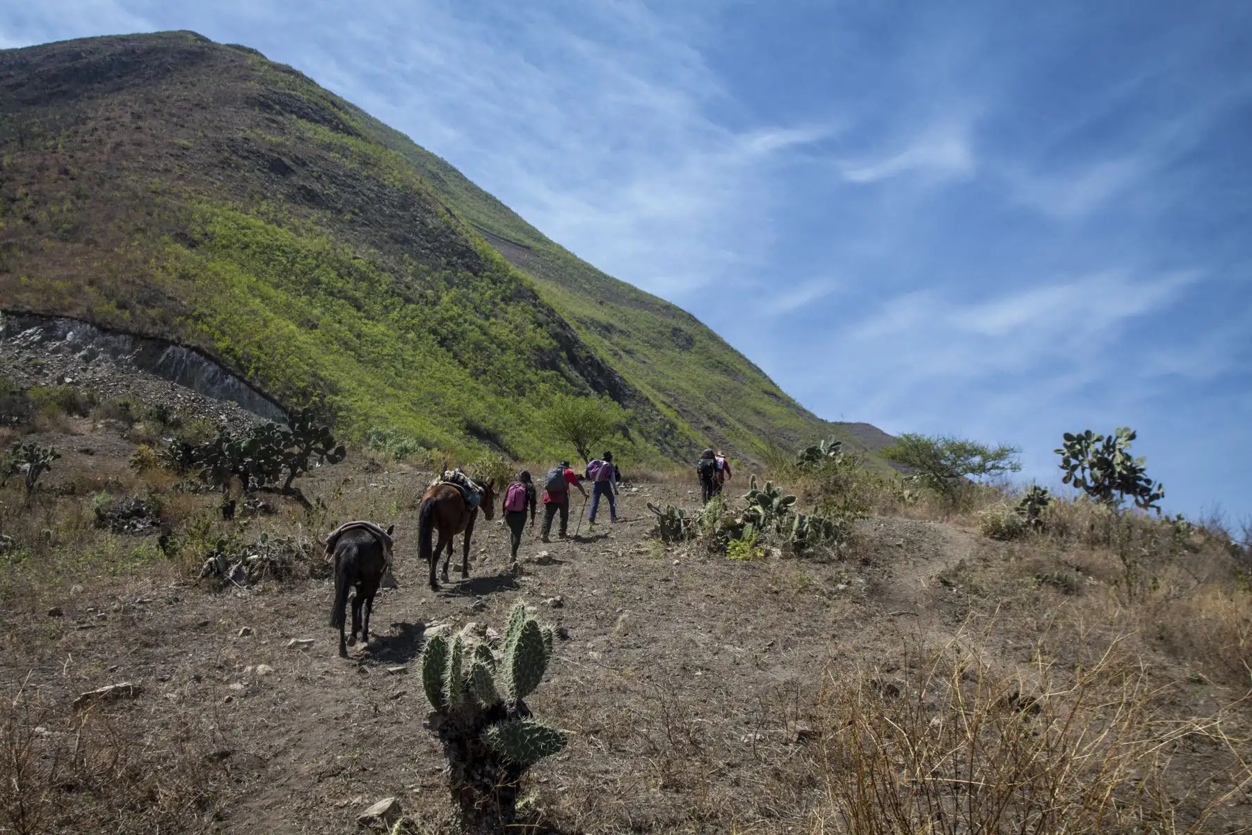 Una gran alternativa durante el ascenso seria montar acémilas para aliviar la fatiga. Oronccoy se ubica a más de 3,700 msnm. Foto: ANDINA/Renato Pajuelo Una gran alternativa durante el ascenso seria montar acémilas para aliviar la fatiga. Oronccoy se ubica a más de 3,700 msnm. Foto: ANDINA/Renato Pajuelo