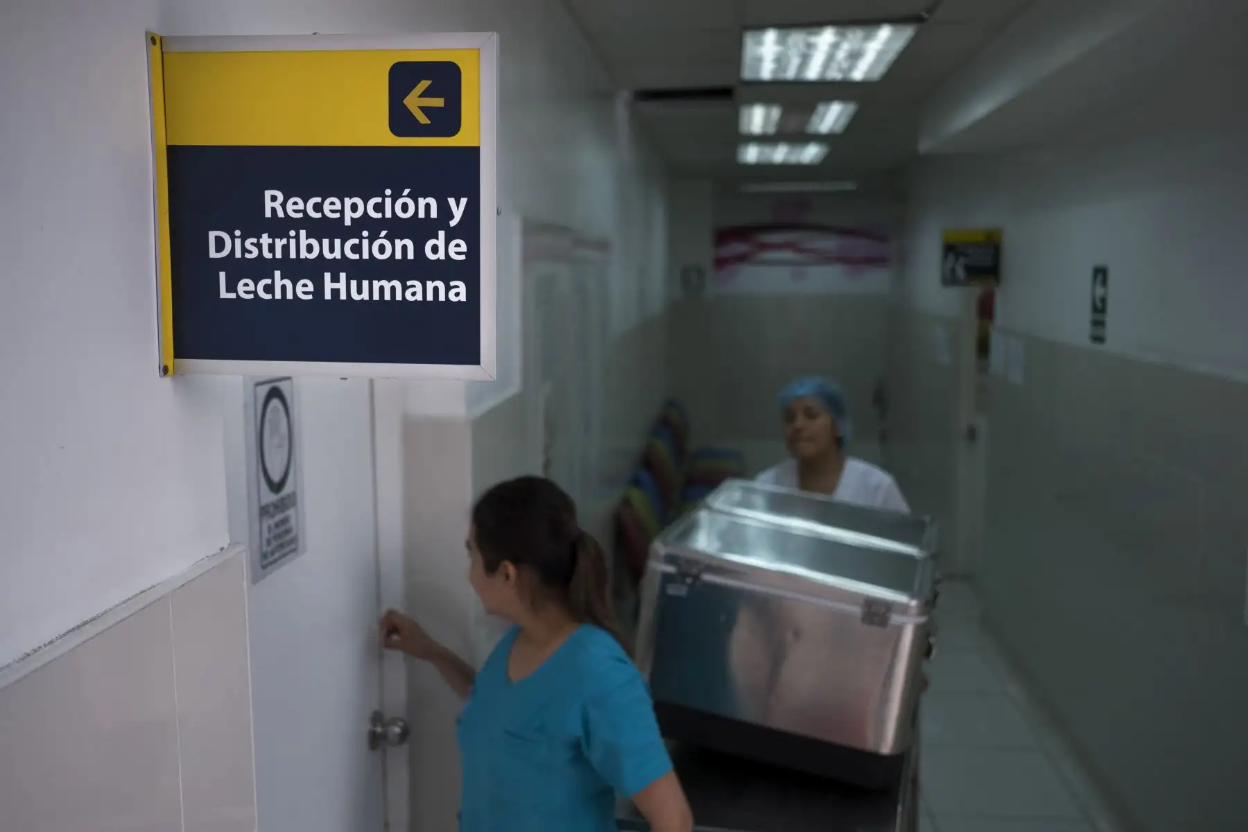 Área de recepción y distribución de leche humana en Instituto Nacional Materno Perinatal. La leche entra al banco por el área de recepción donde personal a cargo realizará varios procesos para garantizar que la sea totalmente sana. “Nace un banco de leche porque como médicos sabemos que la leche humana es lo mejor para un bebé, pero existen circunstancias en que una mamá no puede dar de lactar y lo que hace el banco es brindar a los bebés que lo necesitan leche humana de manera segura”,afirma la Dr. Carmen Villanueva, experta en nutrición del Banco de Leche.