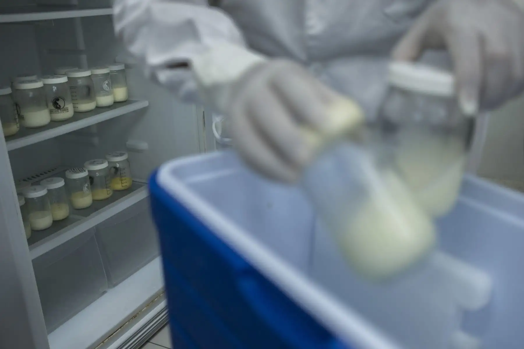 La pasteurización de la leche se realiza a una temperatura de 62.5 grados centígrados por un tiempo de 30 minutos. La leche es un cultivo nutritivo para el niño y para cualquier bacteria, si entró alguna al momento de ser extraída esta no podrá reproducirse debido a que la leche es inmediatamente congelada. Luego, al descongelarse en el Banco de Leche, se pausteriza para matar todos los patógenos. Por eso la leche en el Instituto Nacional Materno Perinatal es 100% sana.
Foto: ANDINA/Miguel Mejía Castro