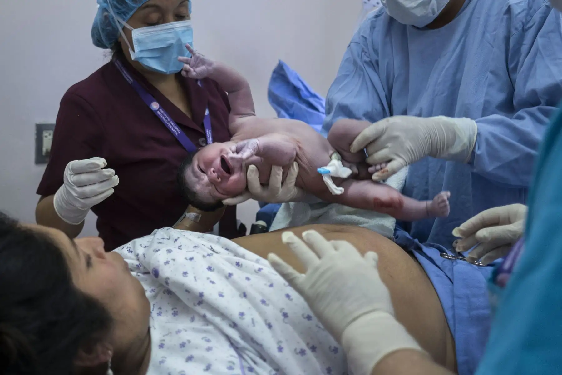 Un recién nacido del Instituto Nacional Materno Perinatal entrará en contacto piel a piel con su madre. “Es lo mejor que puede haber con un recién nacido para garantizar una lactancia exitosa. Al succionar el pezón promueve muchos receptores y cuando el bebé lo hace dentro de la primera hora garantiza la lactancia materna prolongada”, afirma la Dr. Carmen Villanueva, experta en nutrición del Banco de Leche del Instituto Nacional Materno Perinatal.
Foto: ANDINA/Miguel Mejía Castro