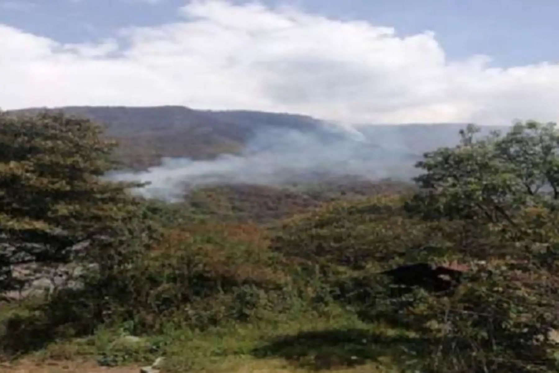 Diversas áreas de América del Sur han resultado afectadas por incendios en las últimas semanas. ANDINA/Difusión