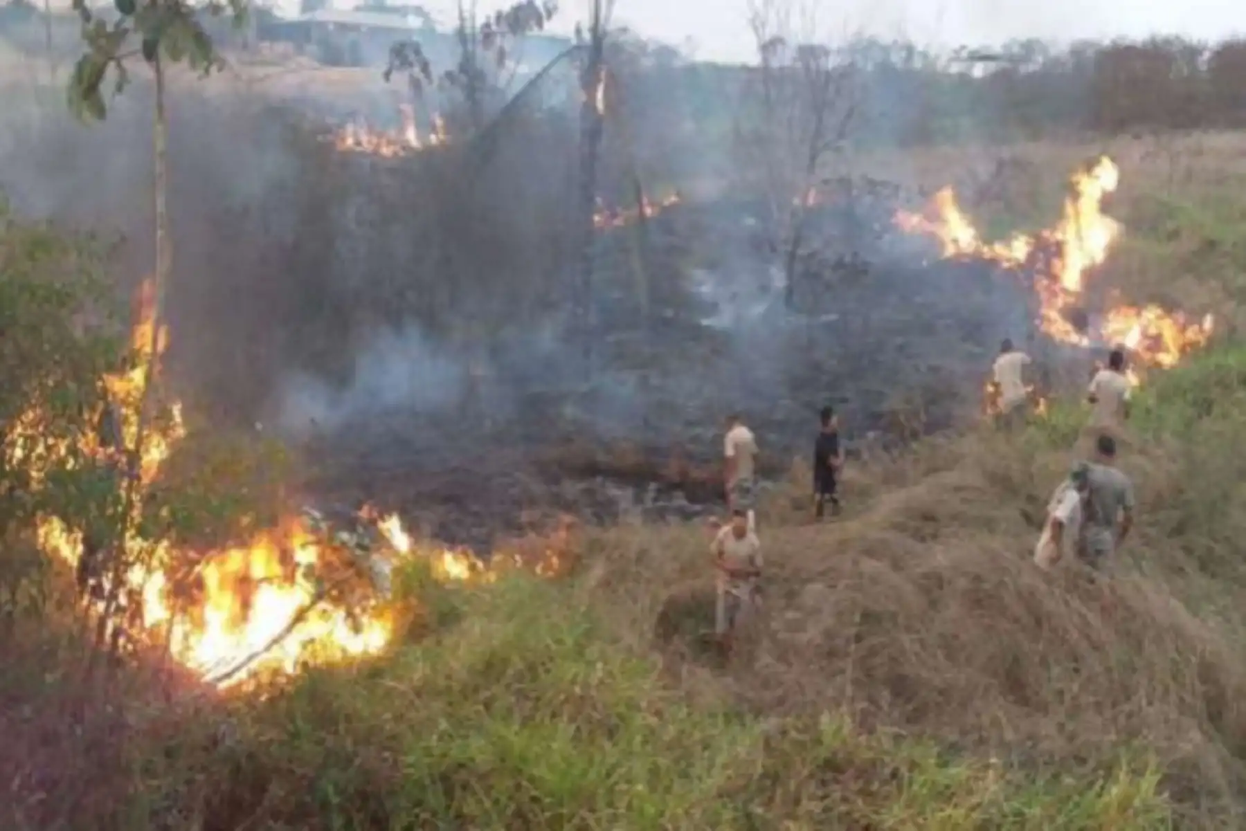 El Gobierno Regional de Madre de Dios evalúa solicitar que se declare en emergencia la provincia de Tahuamanu, donde se genera la mayoría de incendios forestales, a fin de contar con el equipamiento adecuado para los bomberos e infraestructura, precisó el gobernador regional, Luis Hidalgo.ANDINA/Difusión