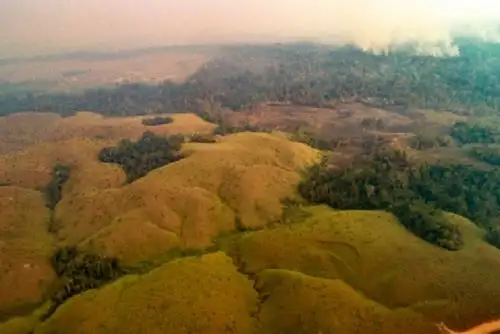 El Centro de Operaciones de Emergencia Regional Madre de Dios señaló que el incendio forestal de grandes proporciones que se registra en Brasil no se ha llegado a la frontera peruana.