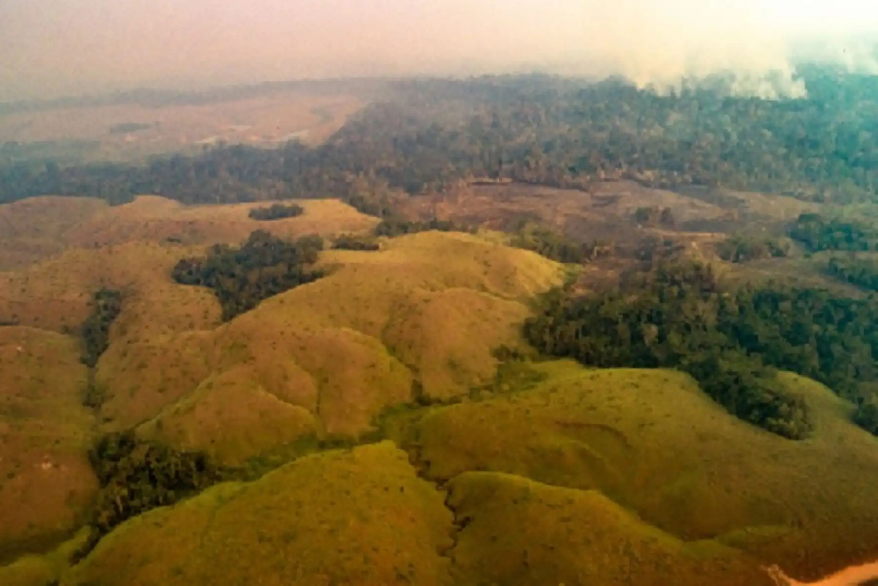 El Centro de Operaciones de Emergencia Regional Madre de Dios señaló que el incendio forestal de grandes proporciones que se registra en Brasil no se ha llegado a la frontera peruana.
