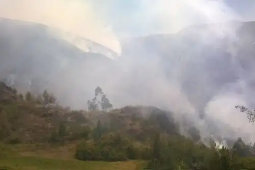 El Centro de Operaciones de Emergencia Regional (COER) Áncash informó que se han reportado 52 incendios en lo que va del año. Foto: ANDINA/Gonzalo Horna